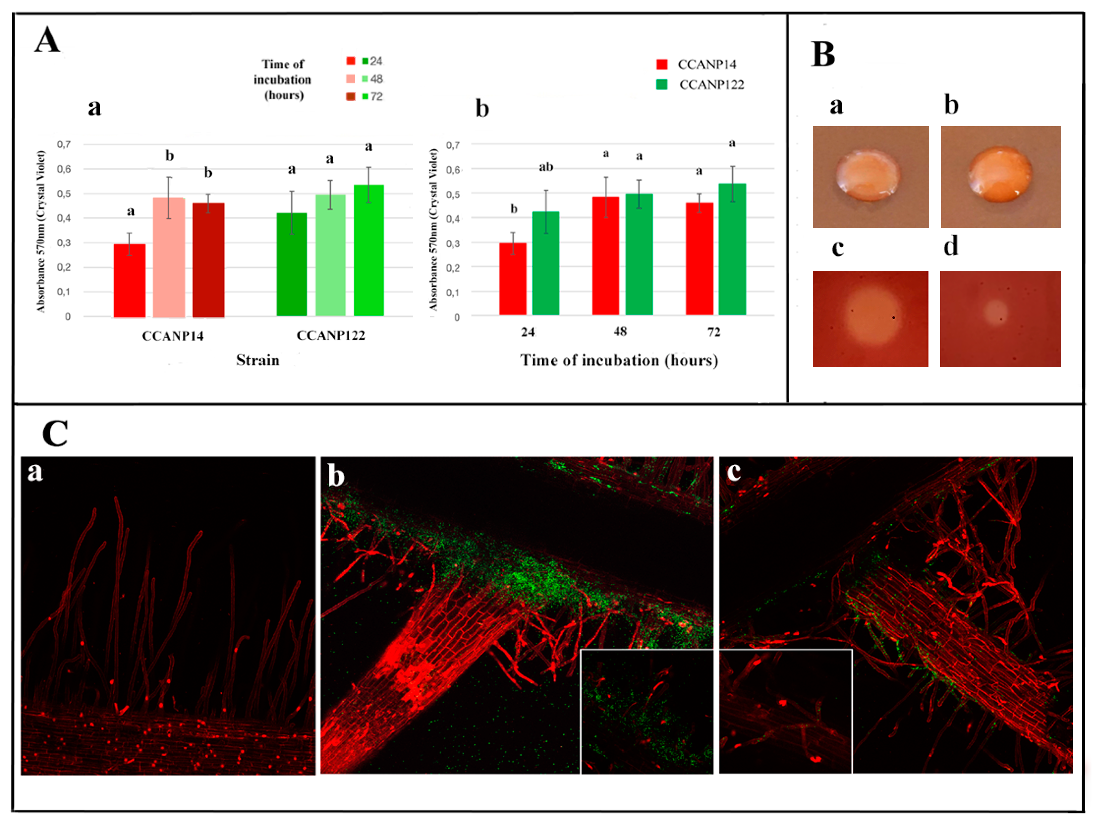 Microorganisms 08 00412 g003