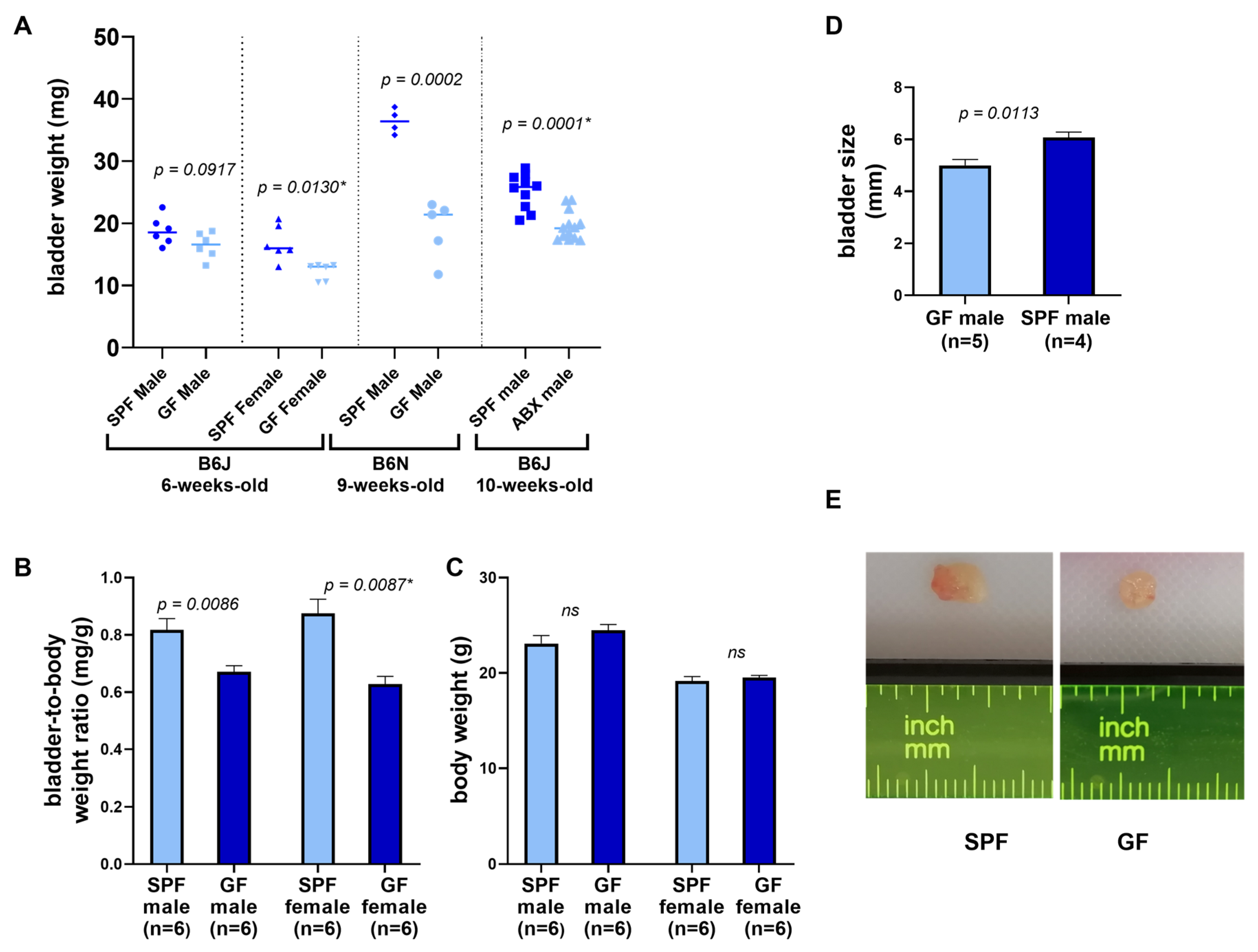 Microorganisms 08 00421 g001