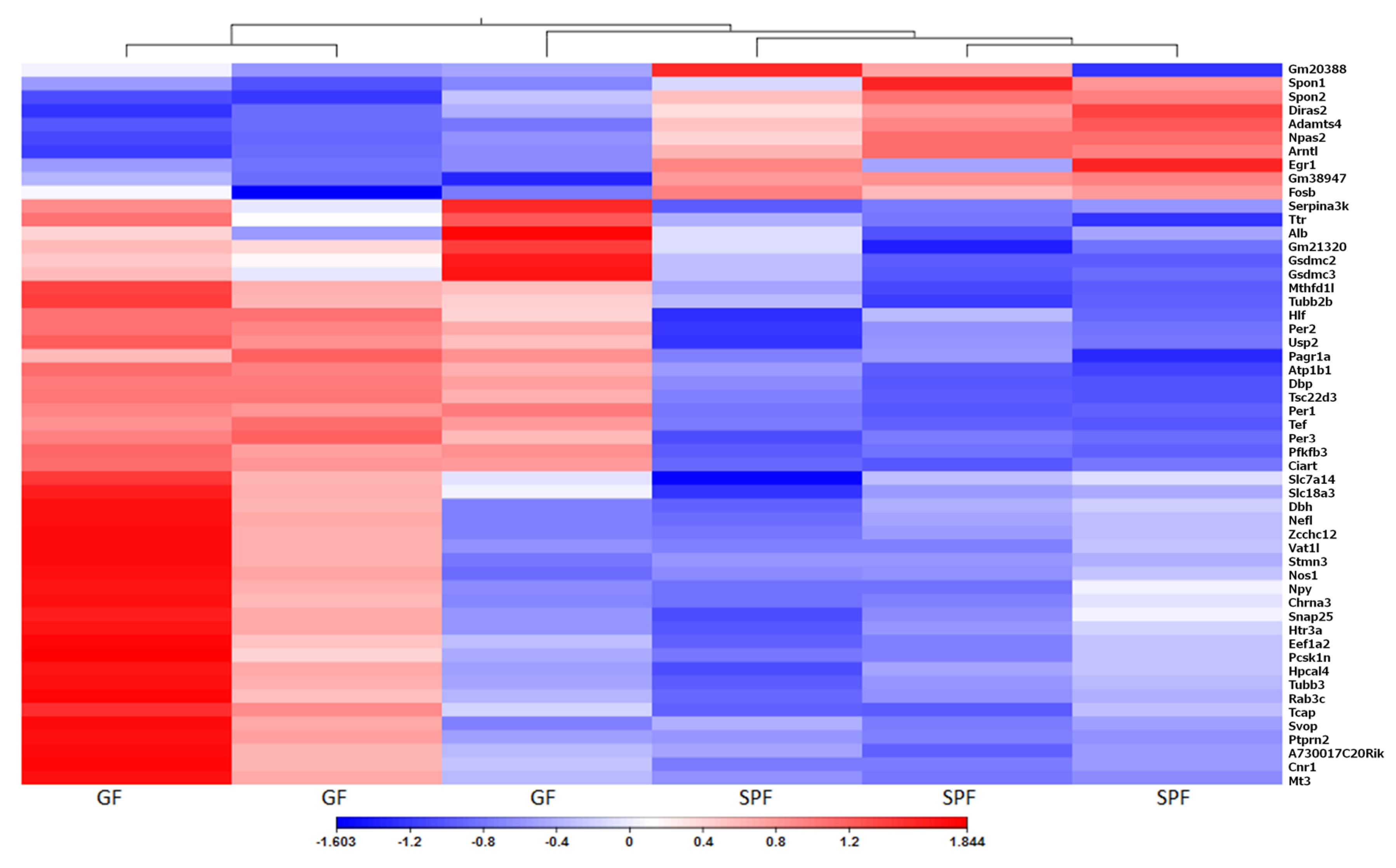 Microorganisms 08 00421 g003