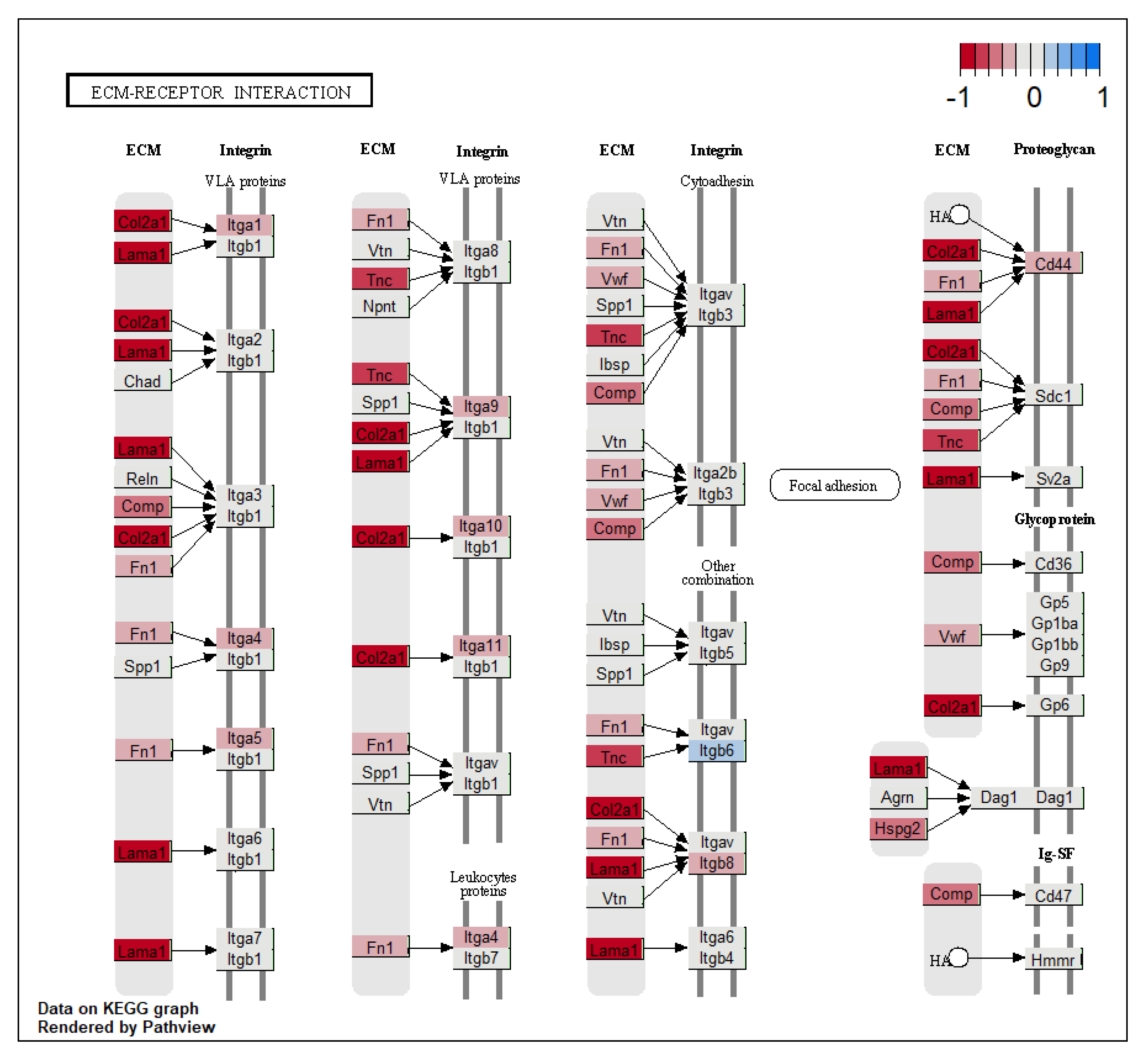 Microorganisms 08 00421 g004