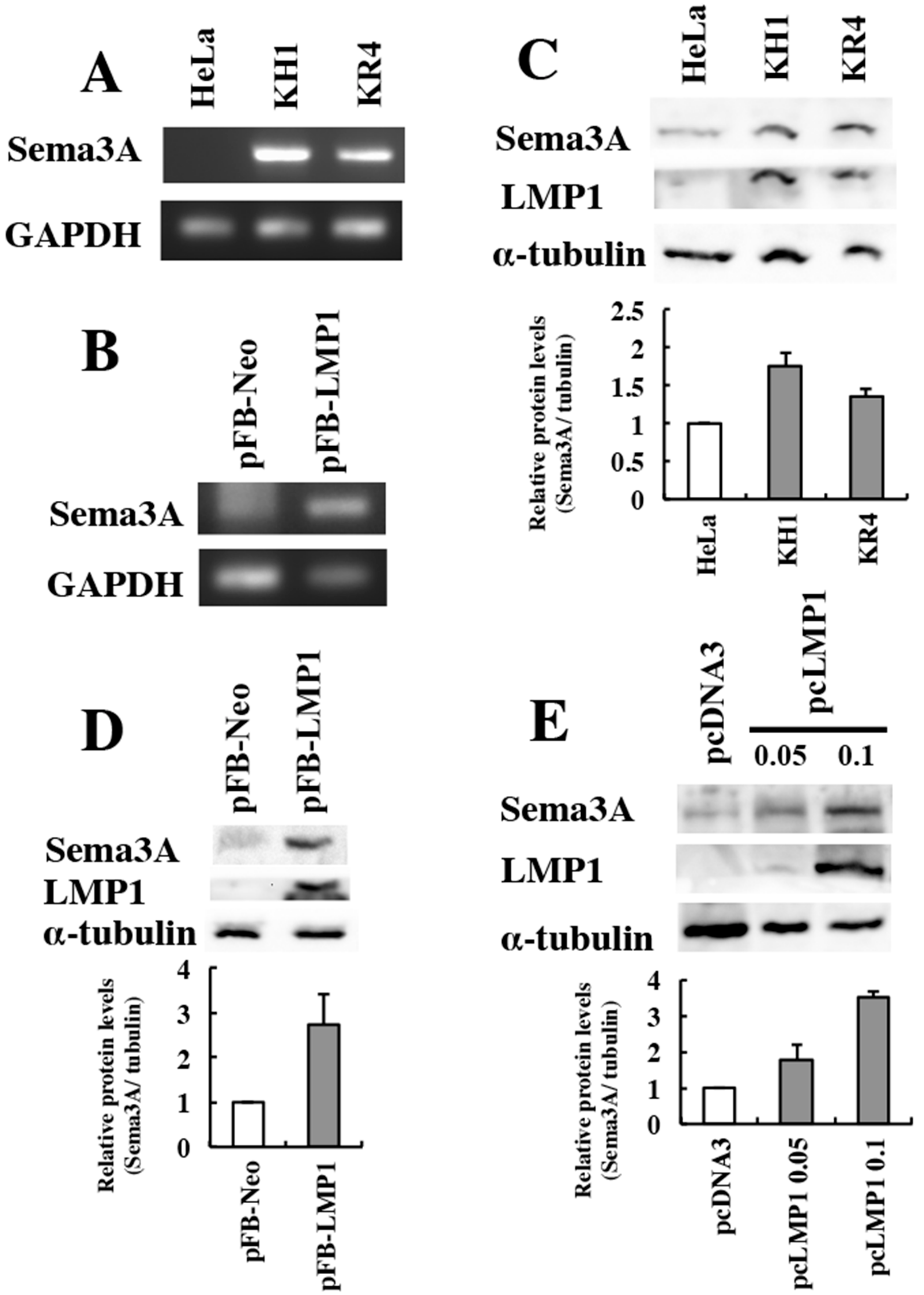 Microorganisms 08 00423 g001