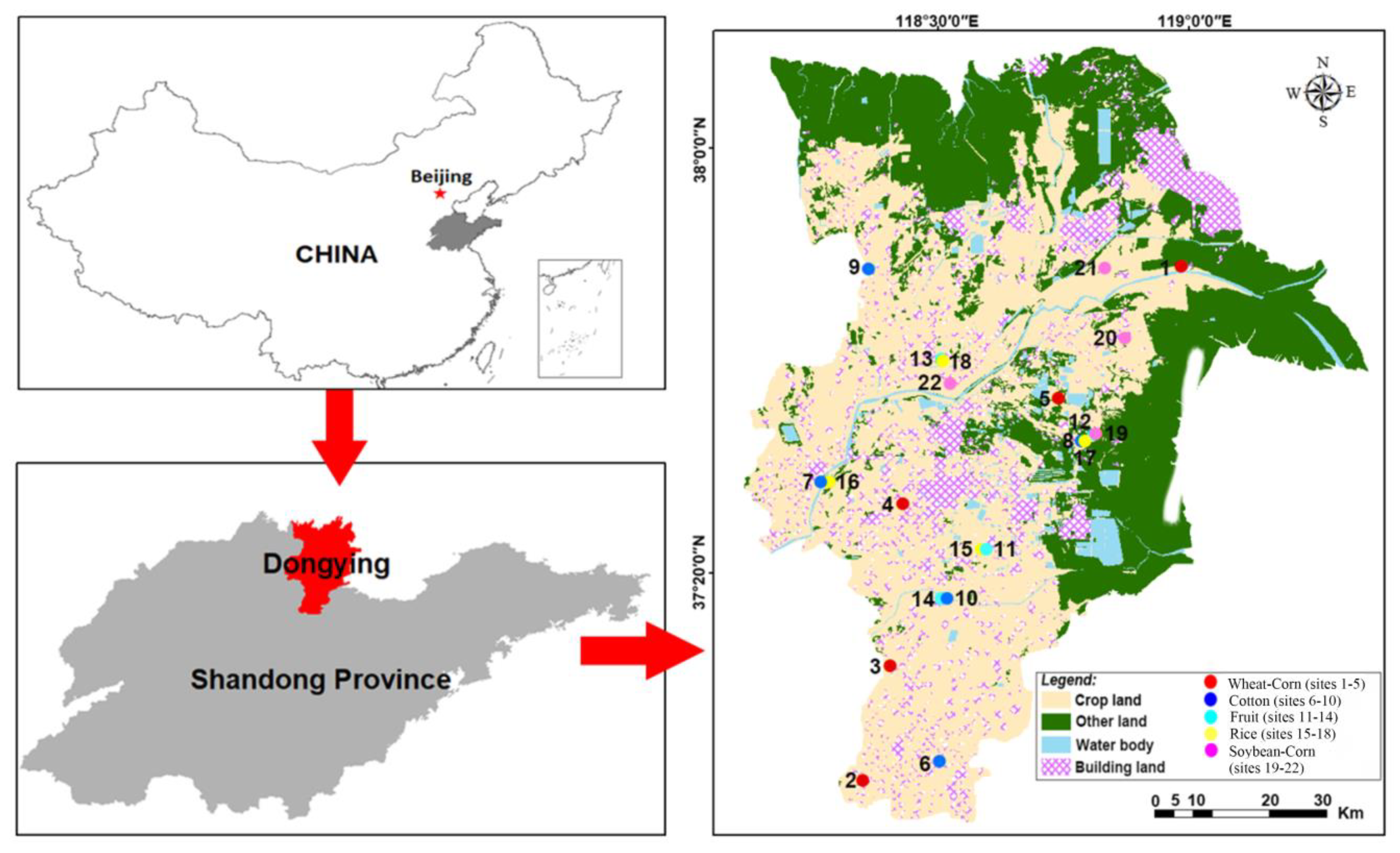 Microorganisms 08 00424 g001