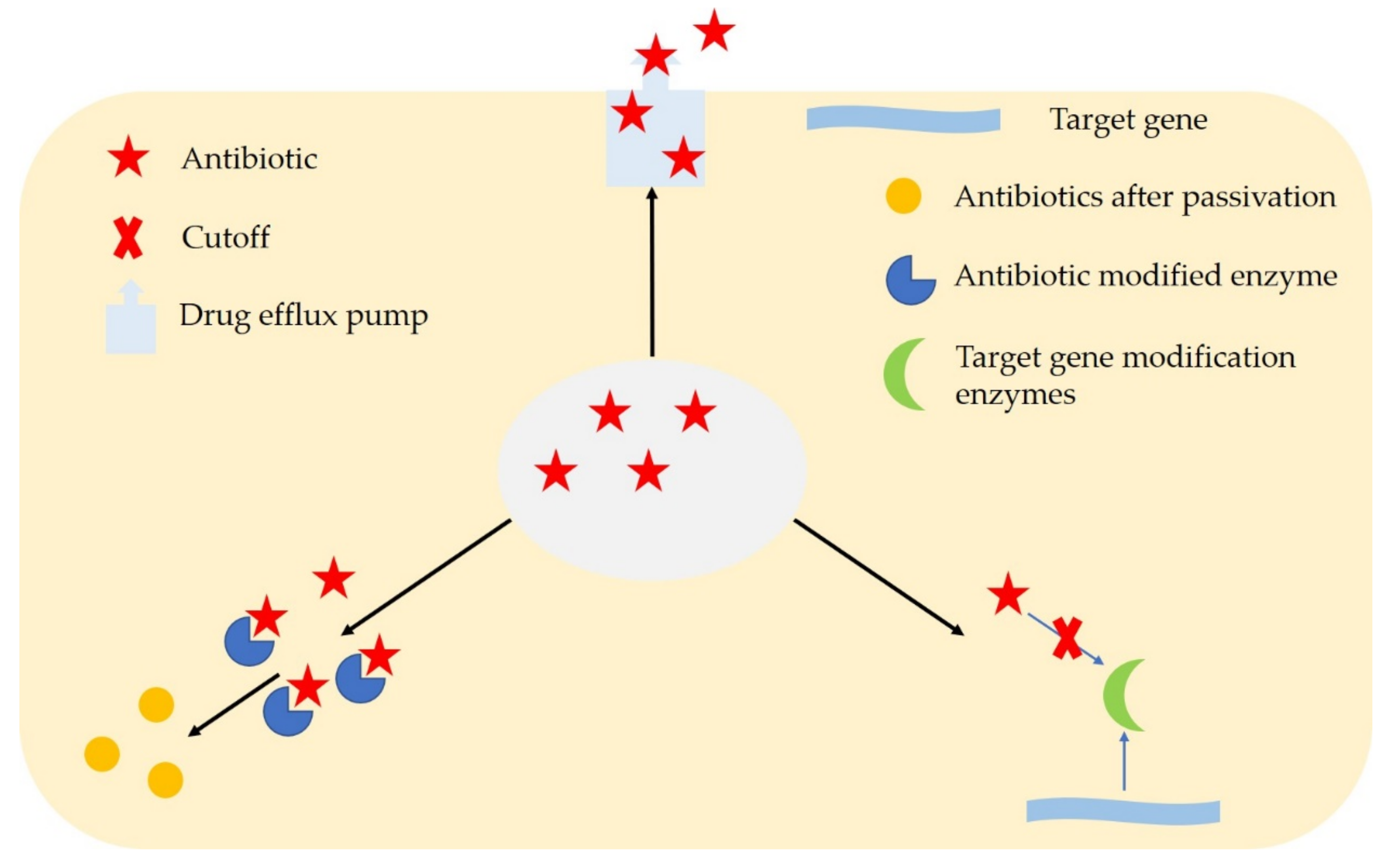 Microorganisms 08 00425 g001