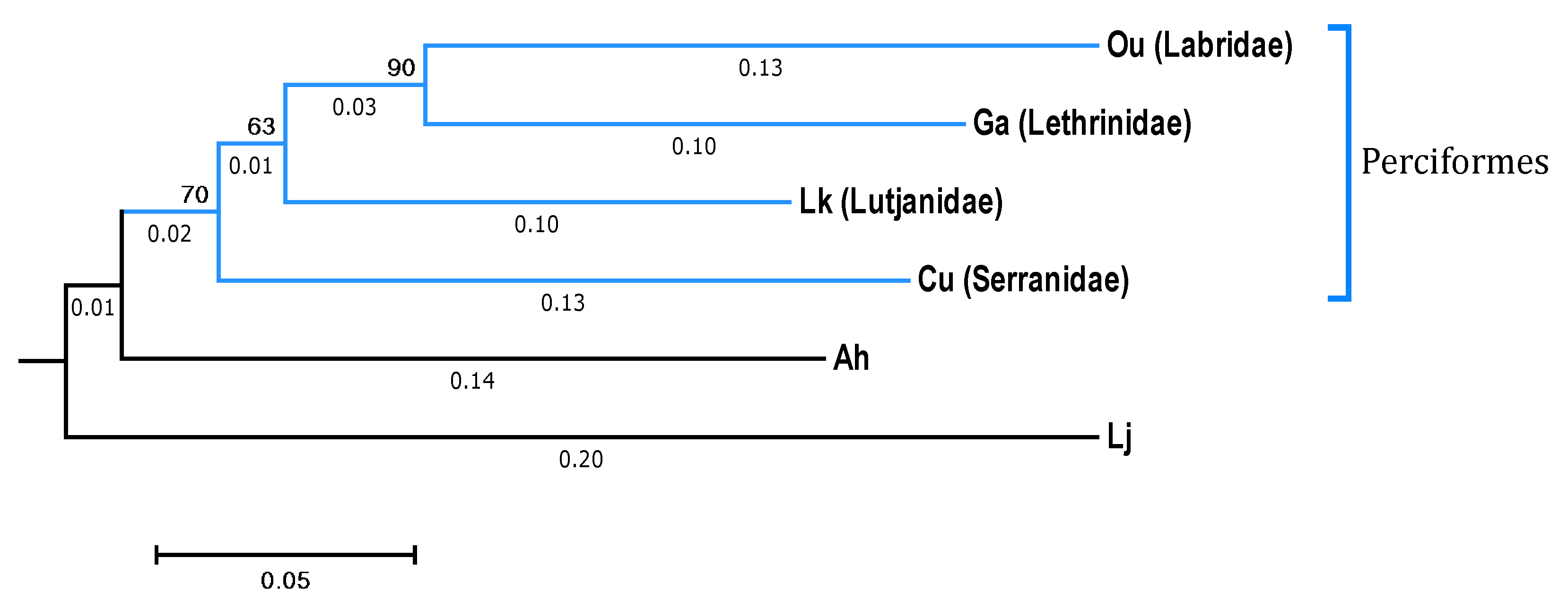 Microorganisms 08 00426 g001