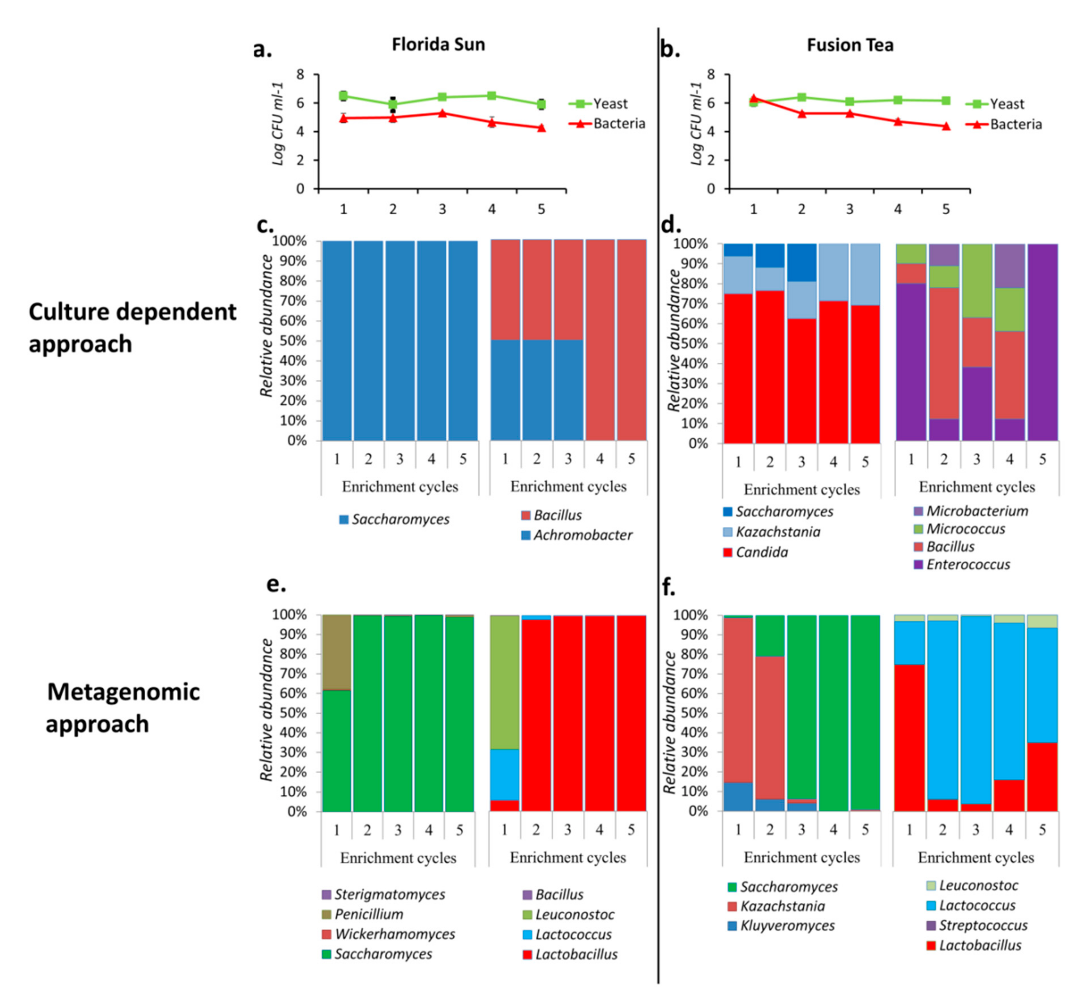 Microorganisms 08 00428 g004