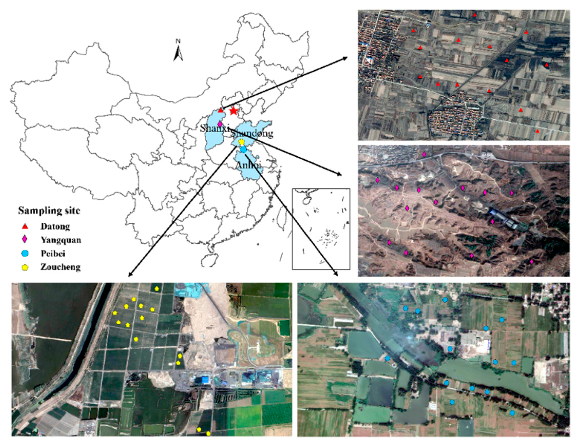 Microorganisms 08 00433 g001