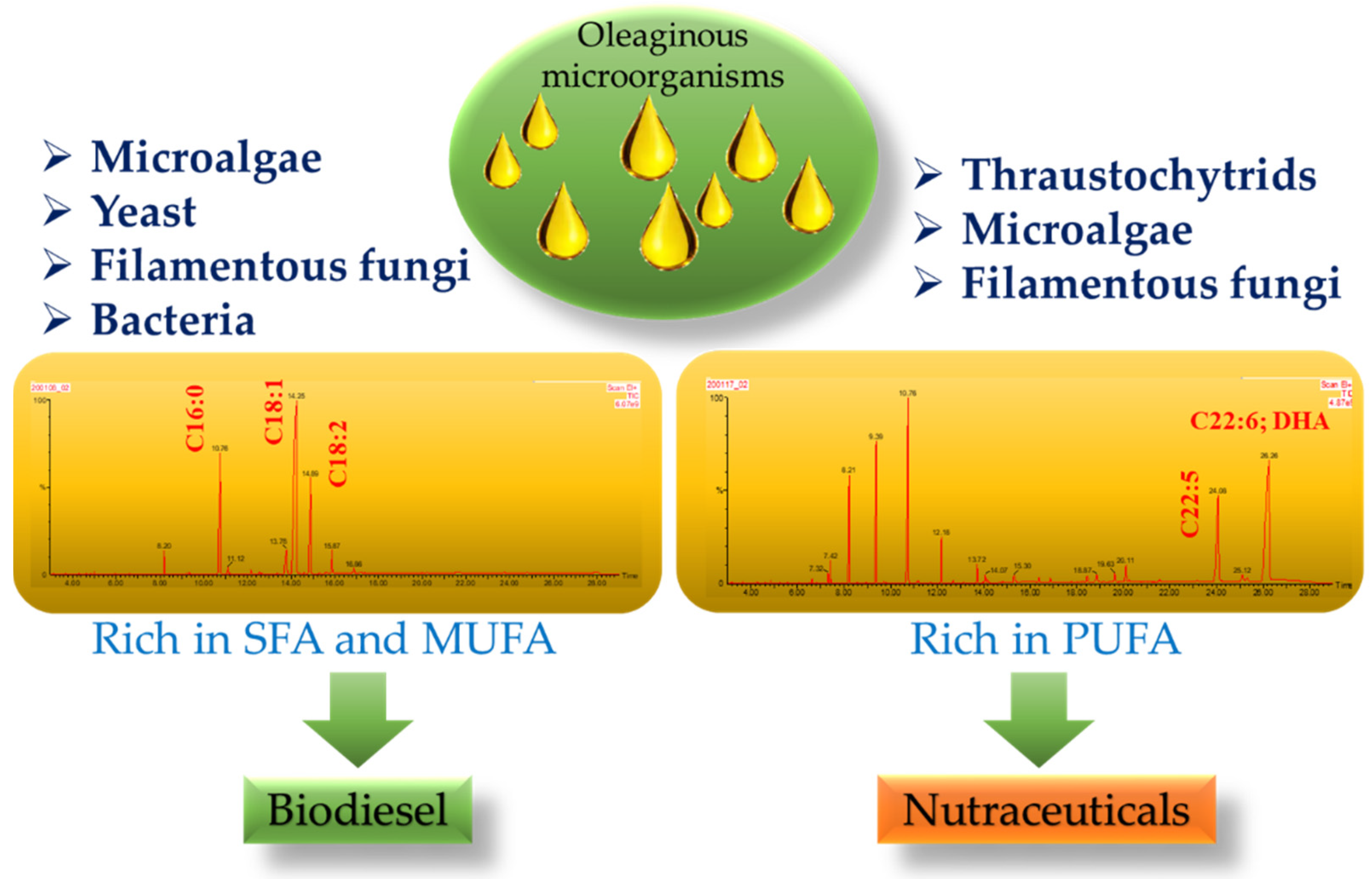 Microorganisms 08 00434 g001