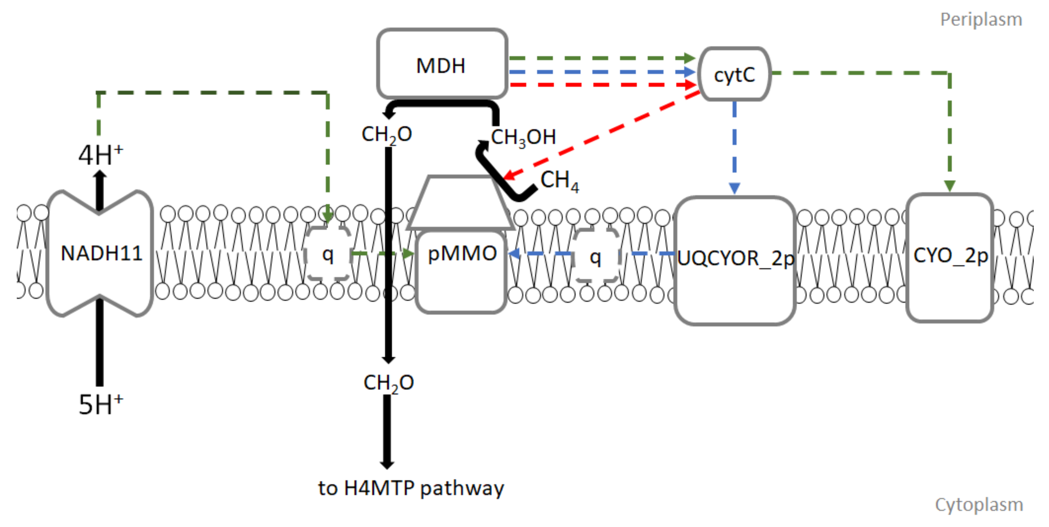 Microorganisms 08 00437 g001 Microorganisms 08 00437 g001