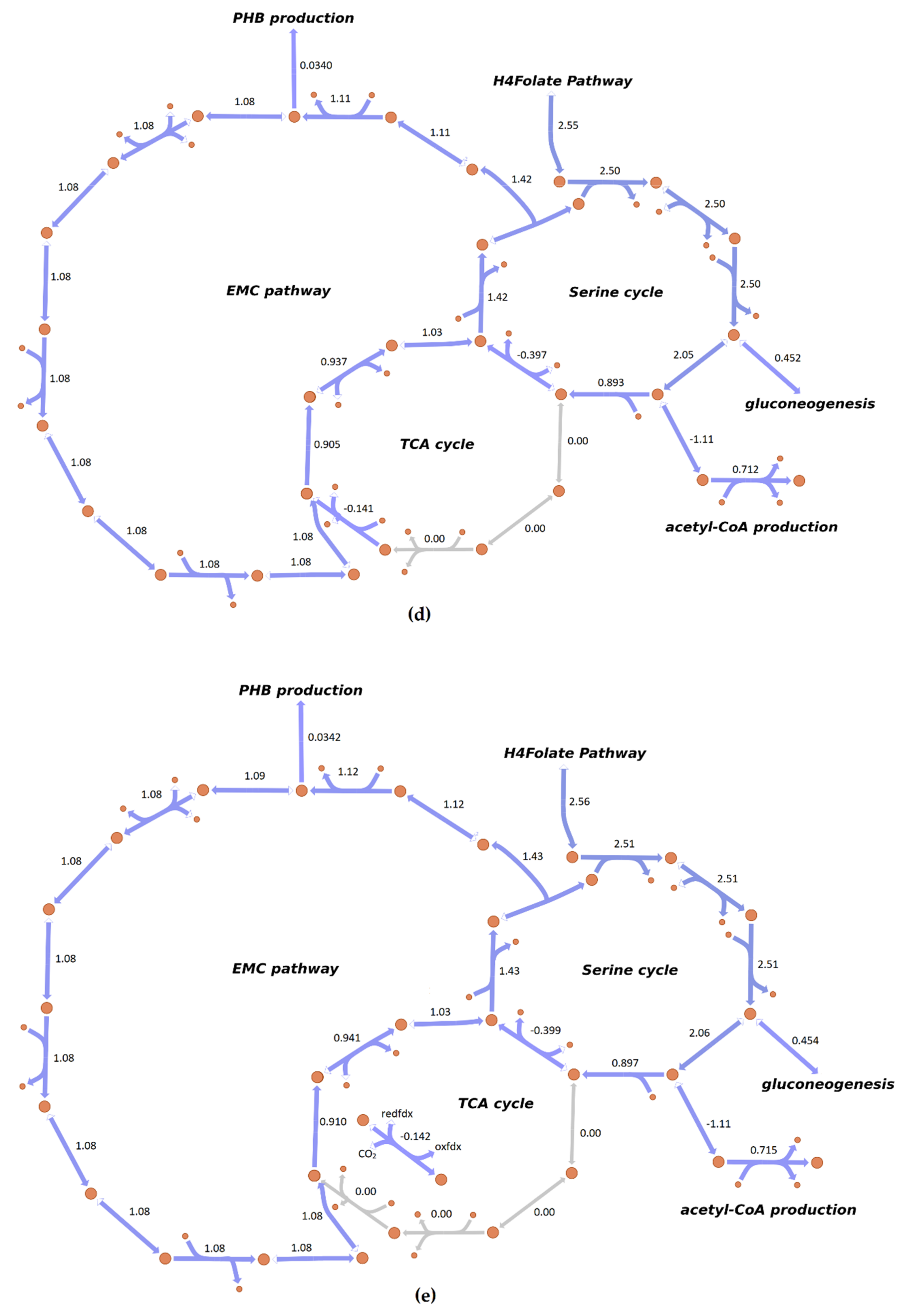 Microorganisms 08 00437 g005c Microorganisms 08 00437 g005c