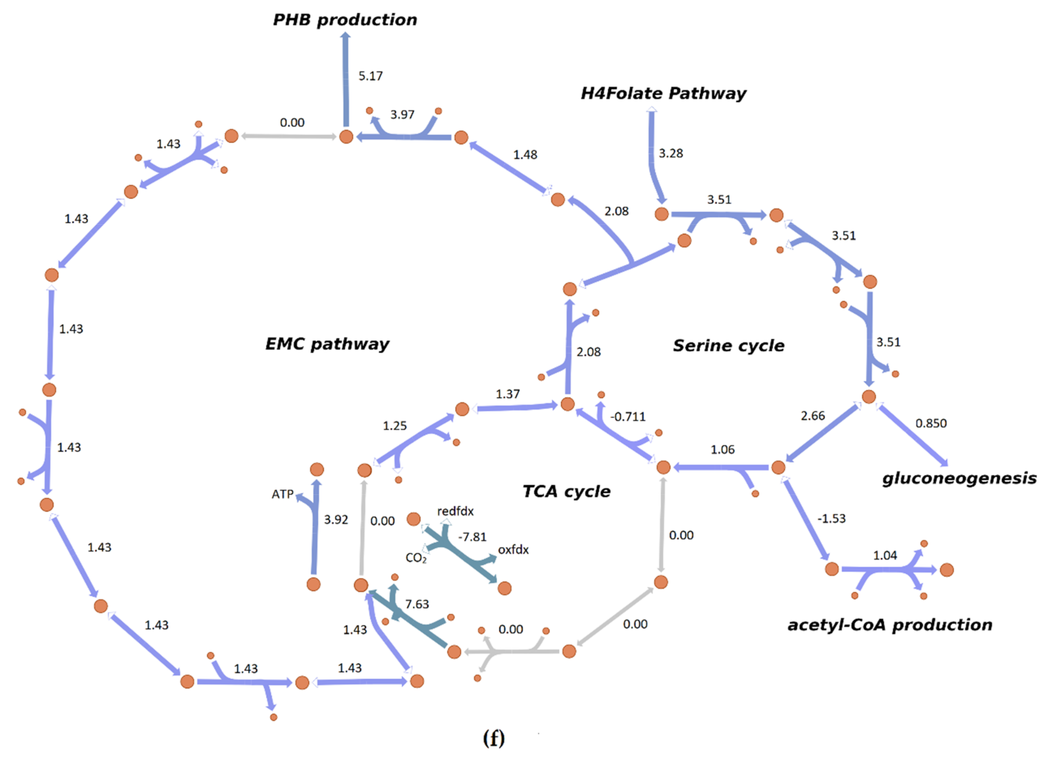 Microorganisms 08 00437 g005d Microorganisms 08 00437 g005d