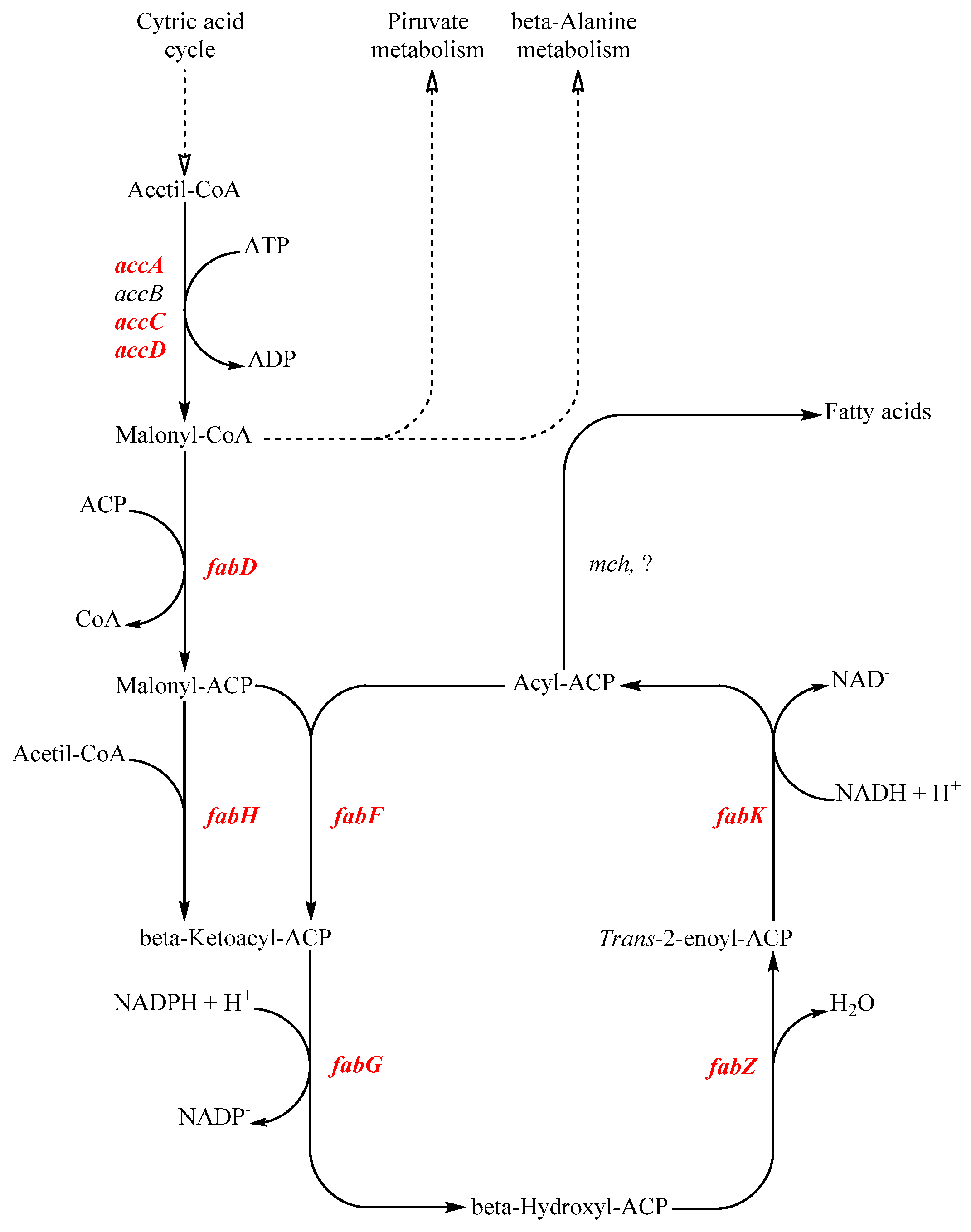 Microorganisms 08 00439 g001 Microorganisms 08 00439 g001