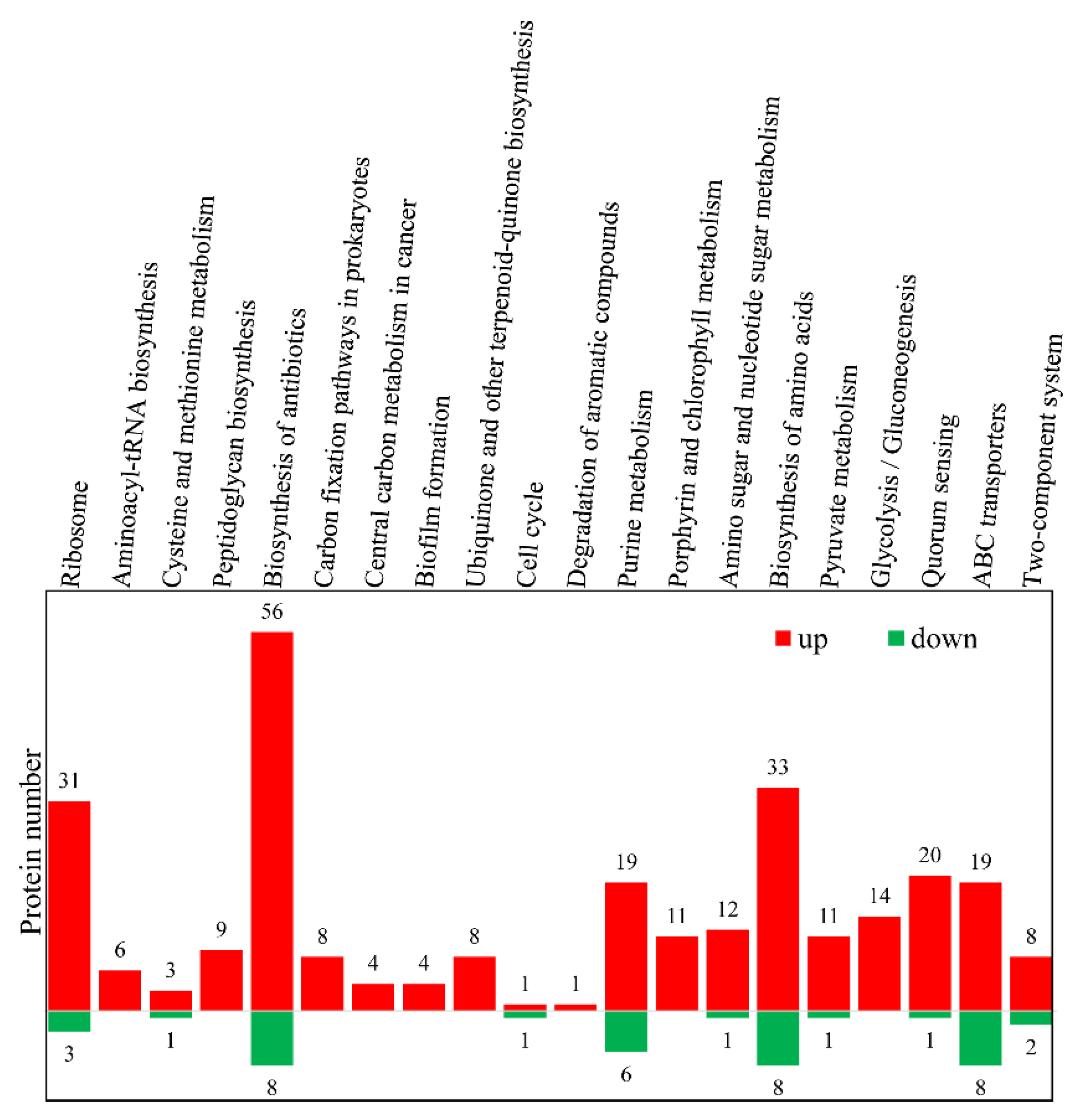 Microorganisms 08 00451 g005 Microorganisms 08 00451 g005