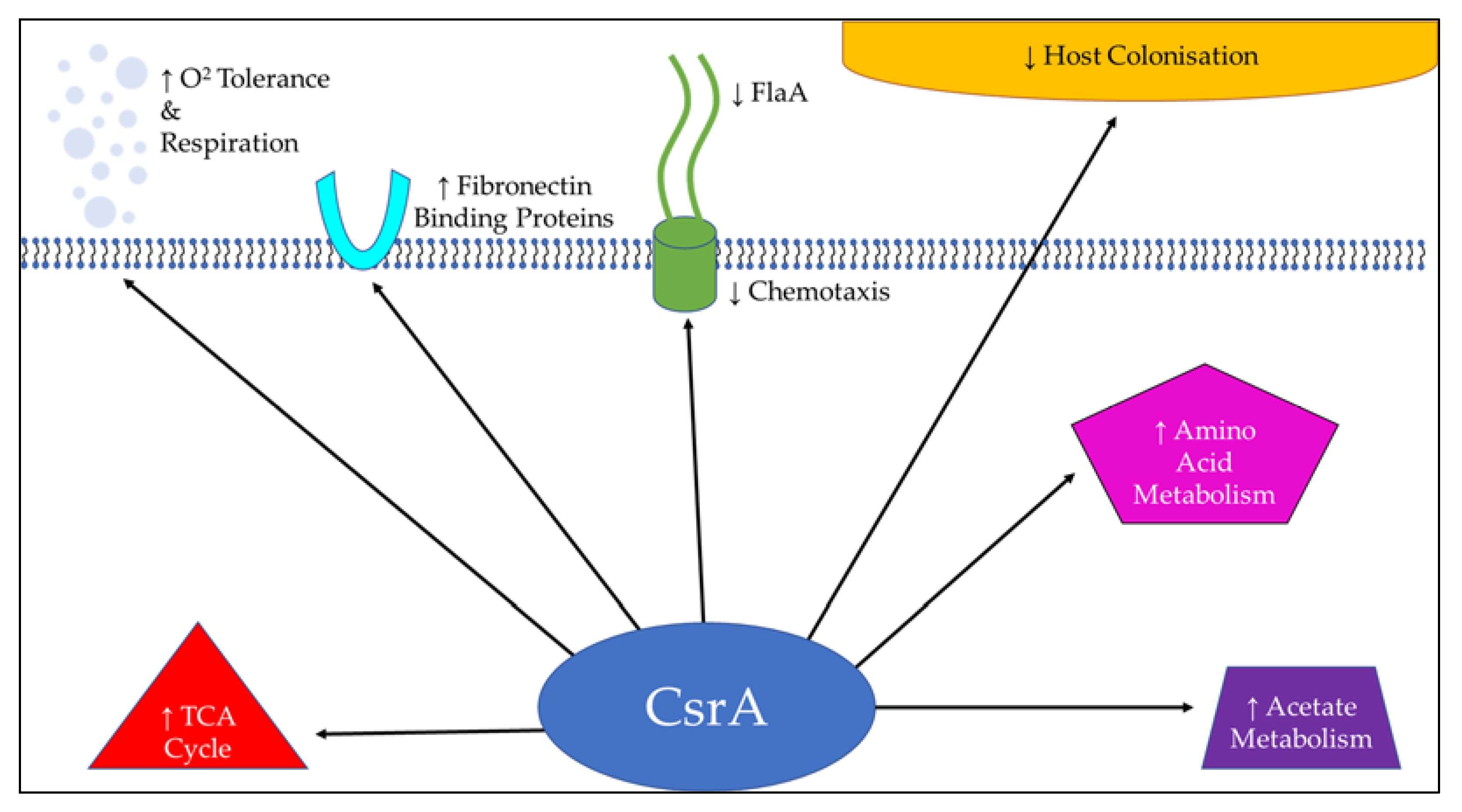 Microorganisms 08 00452 g002 Microorganisms 08 00452 g002