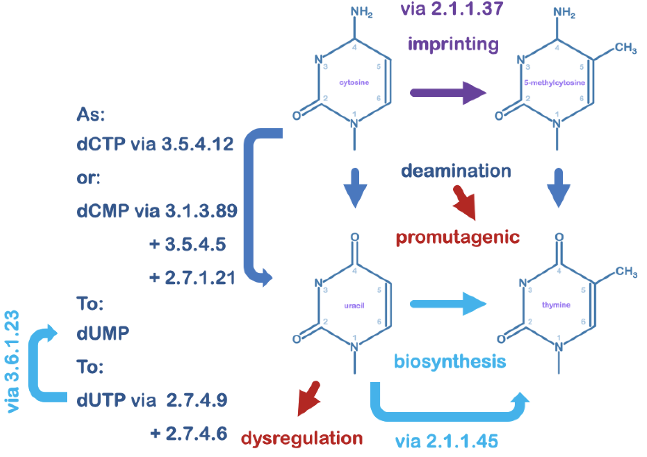 Microorganisms 08 00461 g001