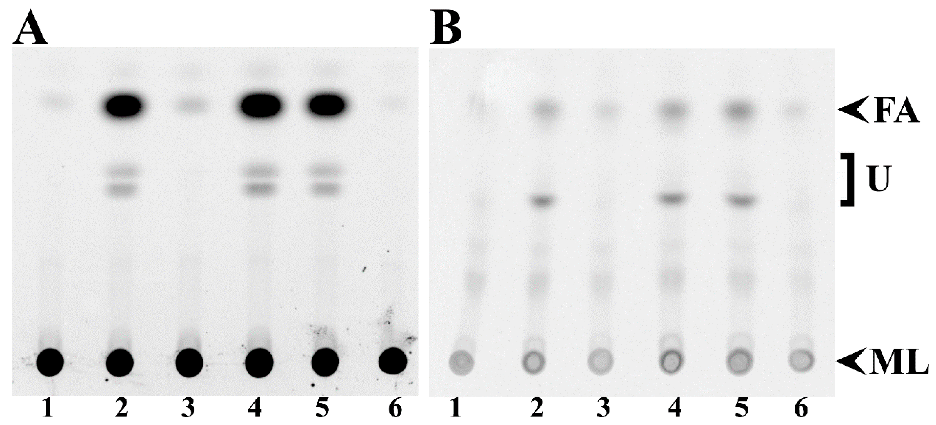 Microorganisms 08 00470 g002 Microorganisms 08 00470 g002