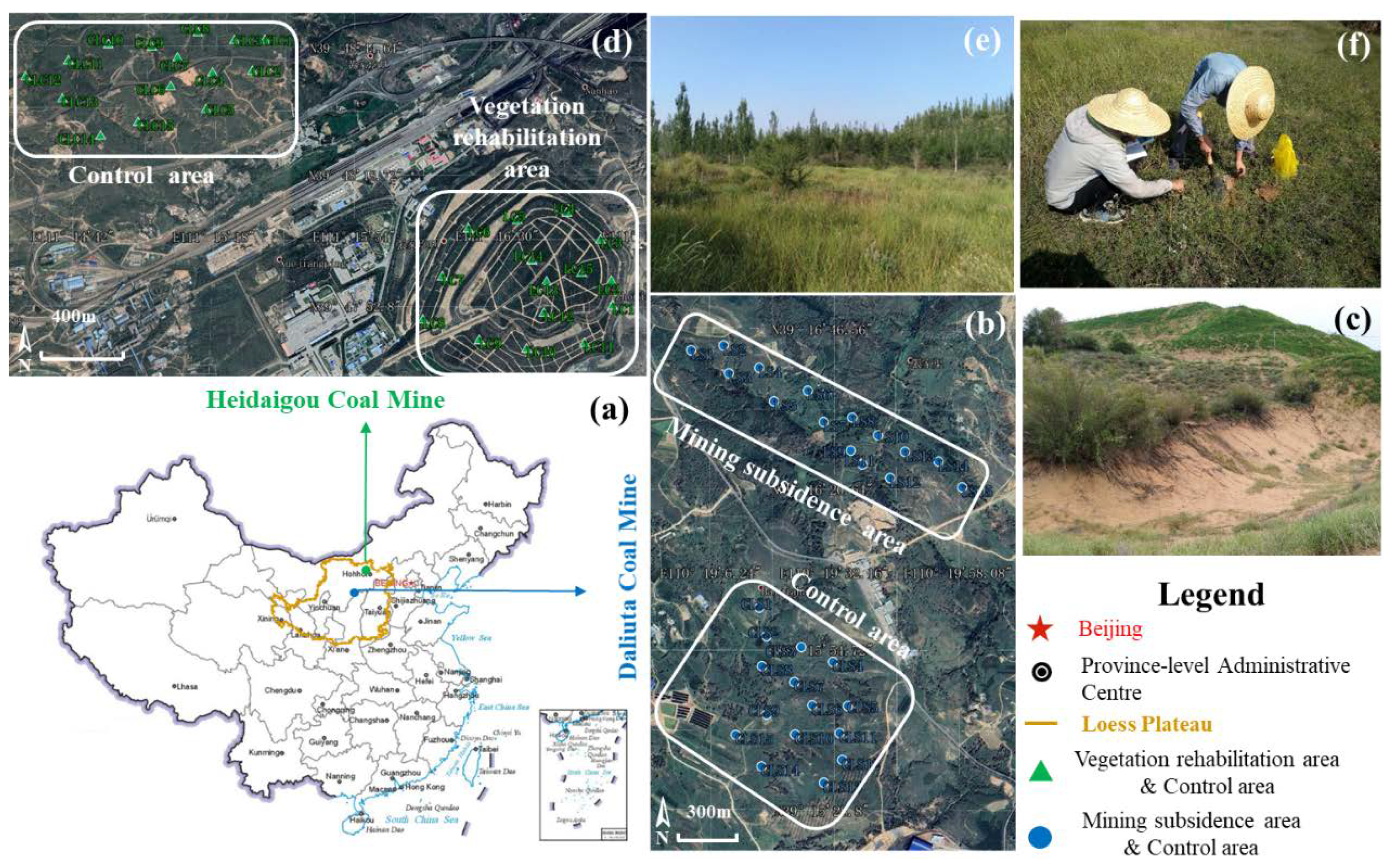 Microorganisms 08 00477 g001
