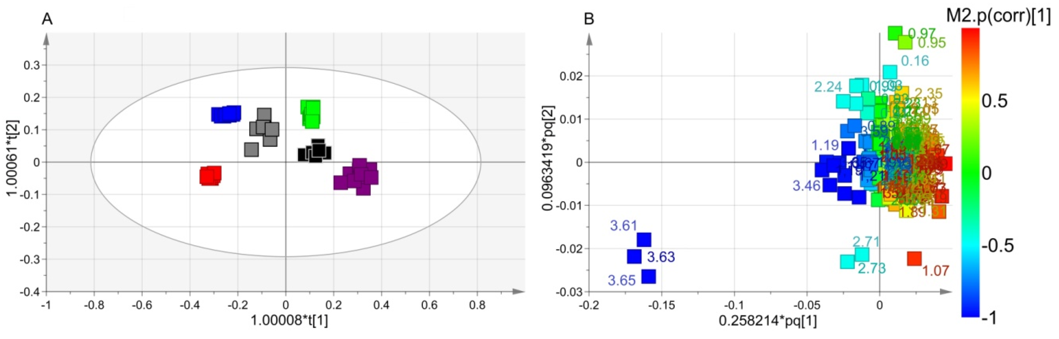 Microorganisms 08 00480 g003