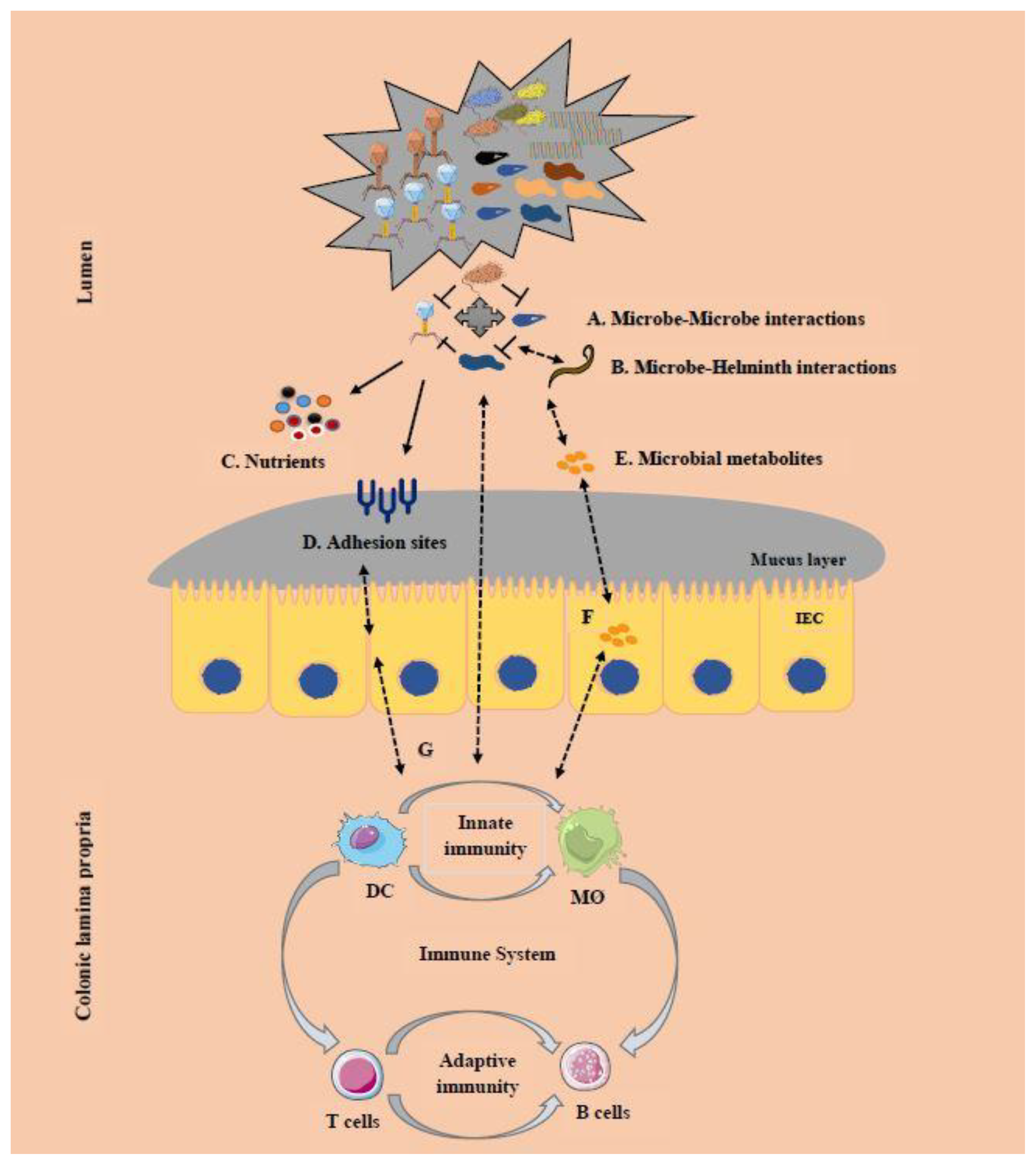 Microorganisms 08 00483 g002