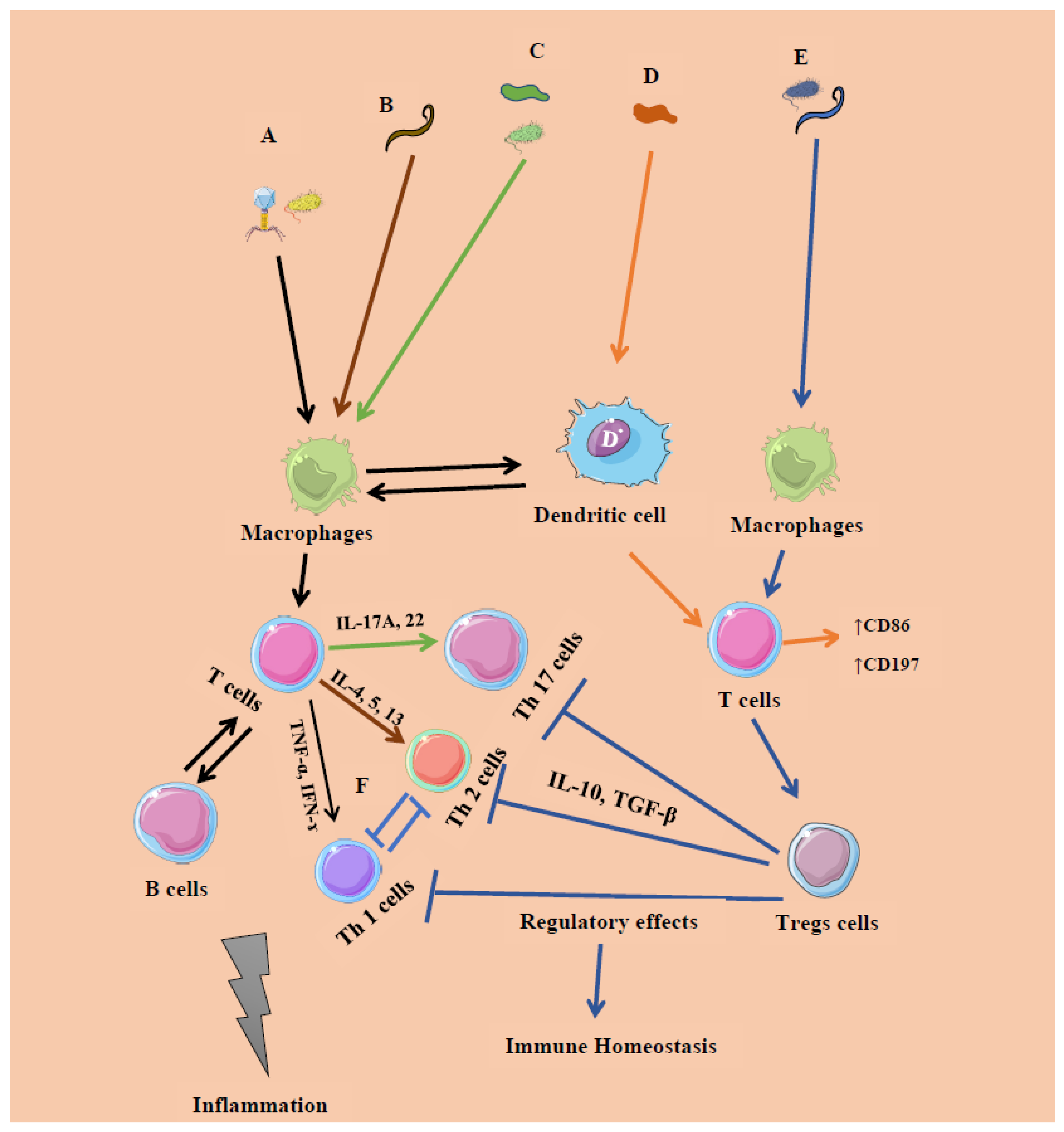 Microorganisms 08 00483 g003