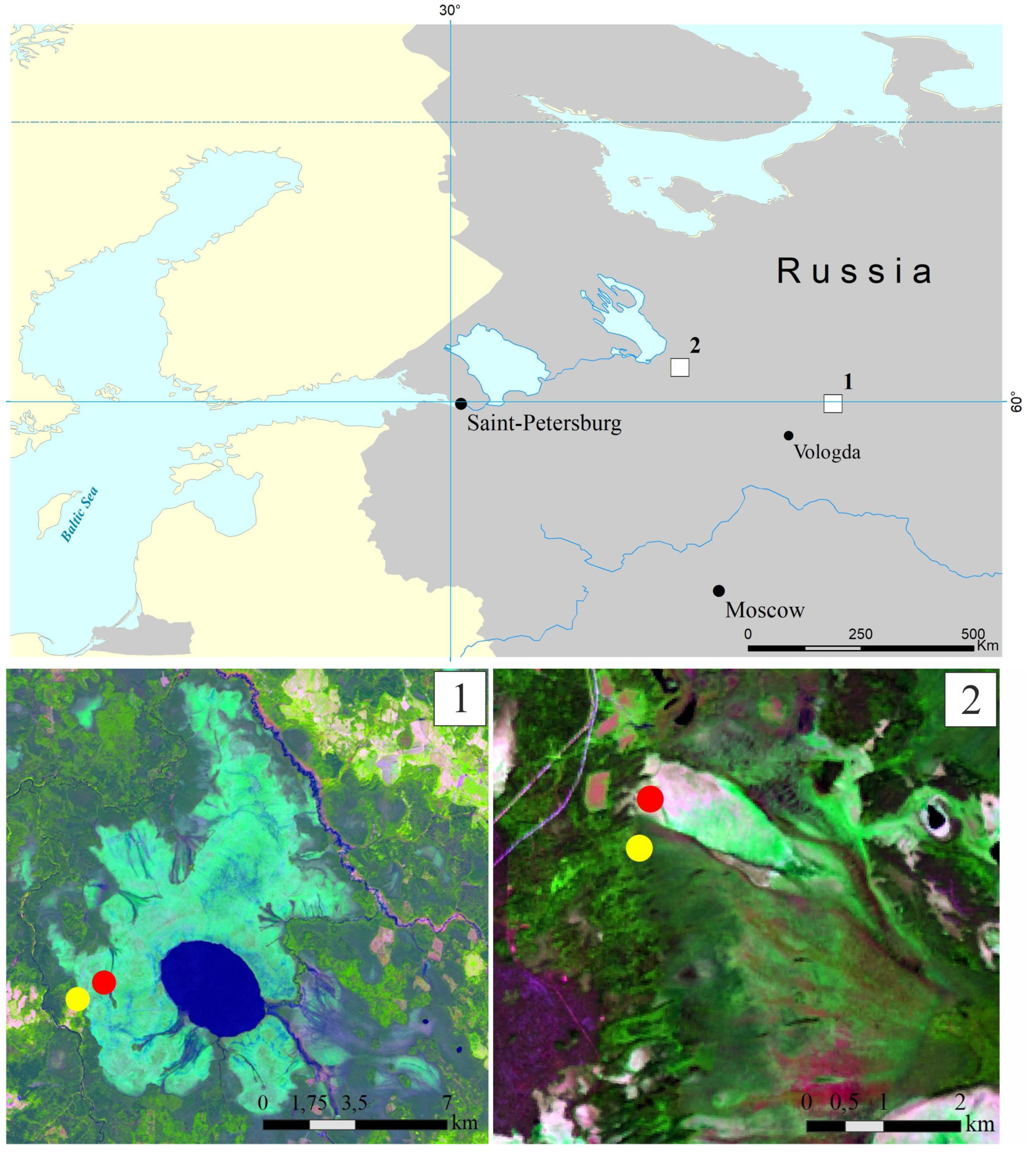 Microorganisms 08 00484 g001