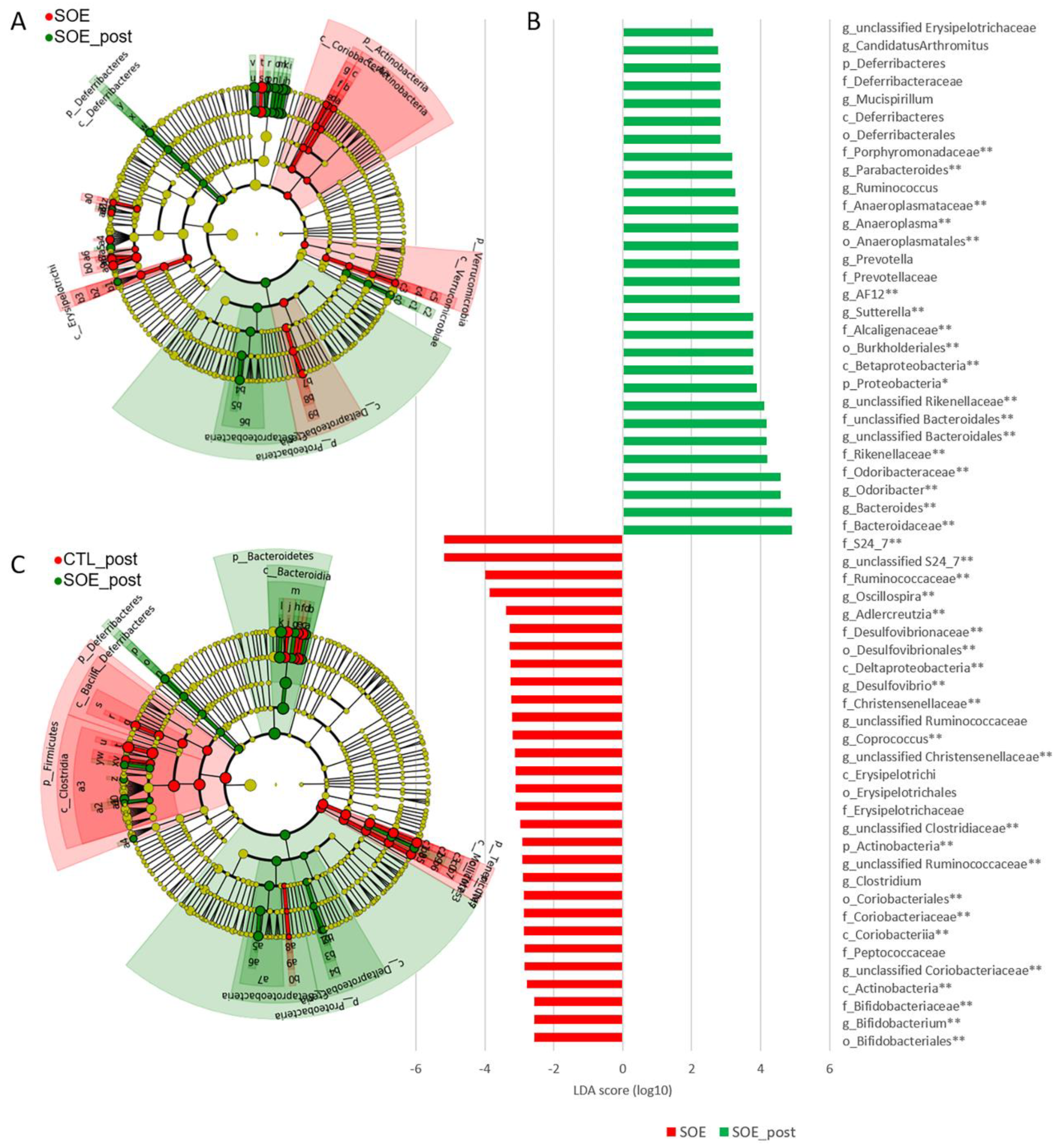 Microorganisms 08 00486 g002