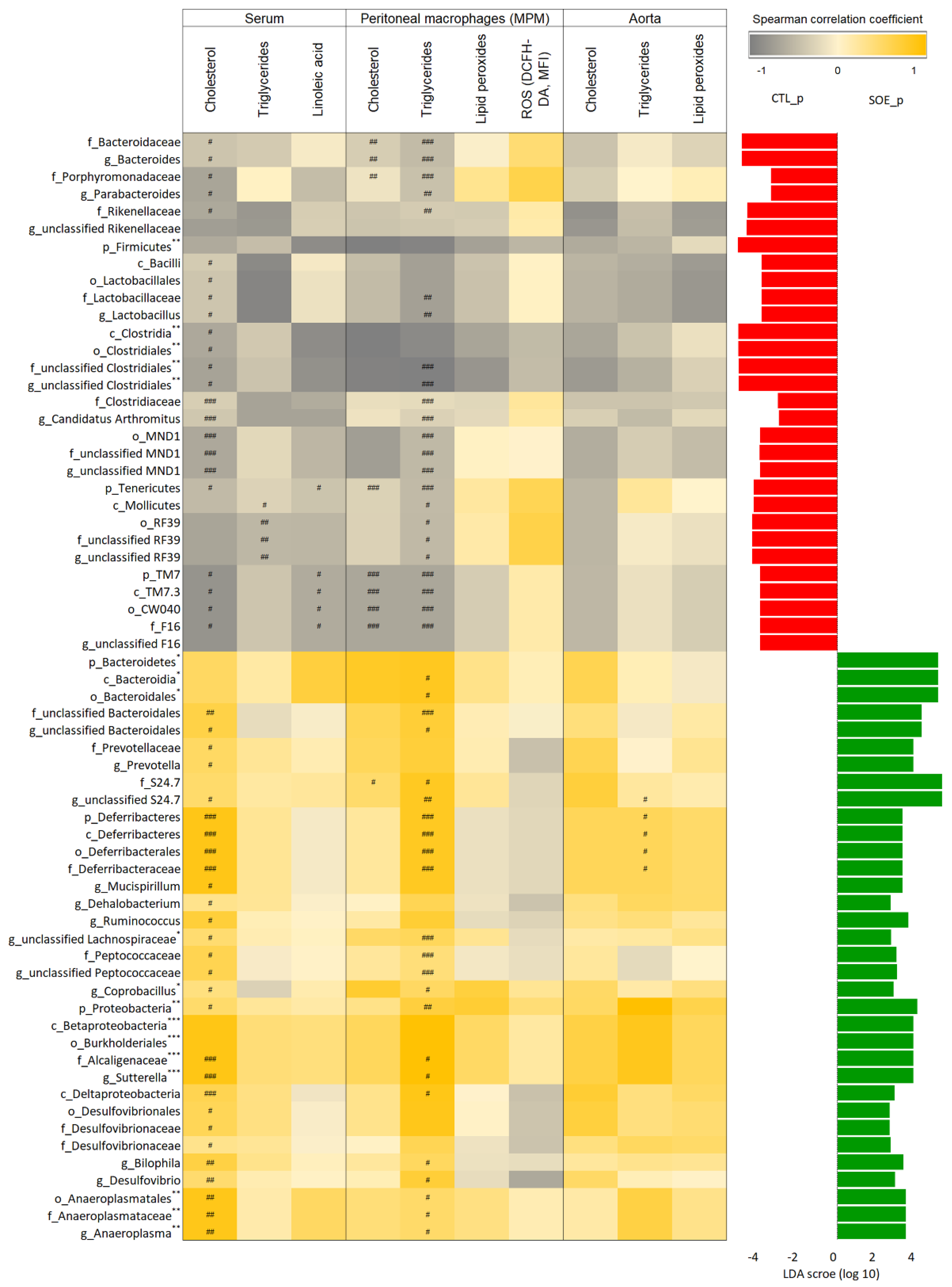 Microorganisms 08 00486 g003