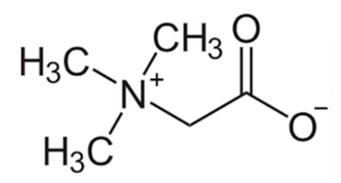 Microorganisms 08 00490 g002