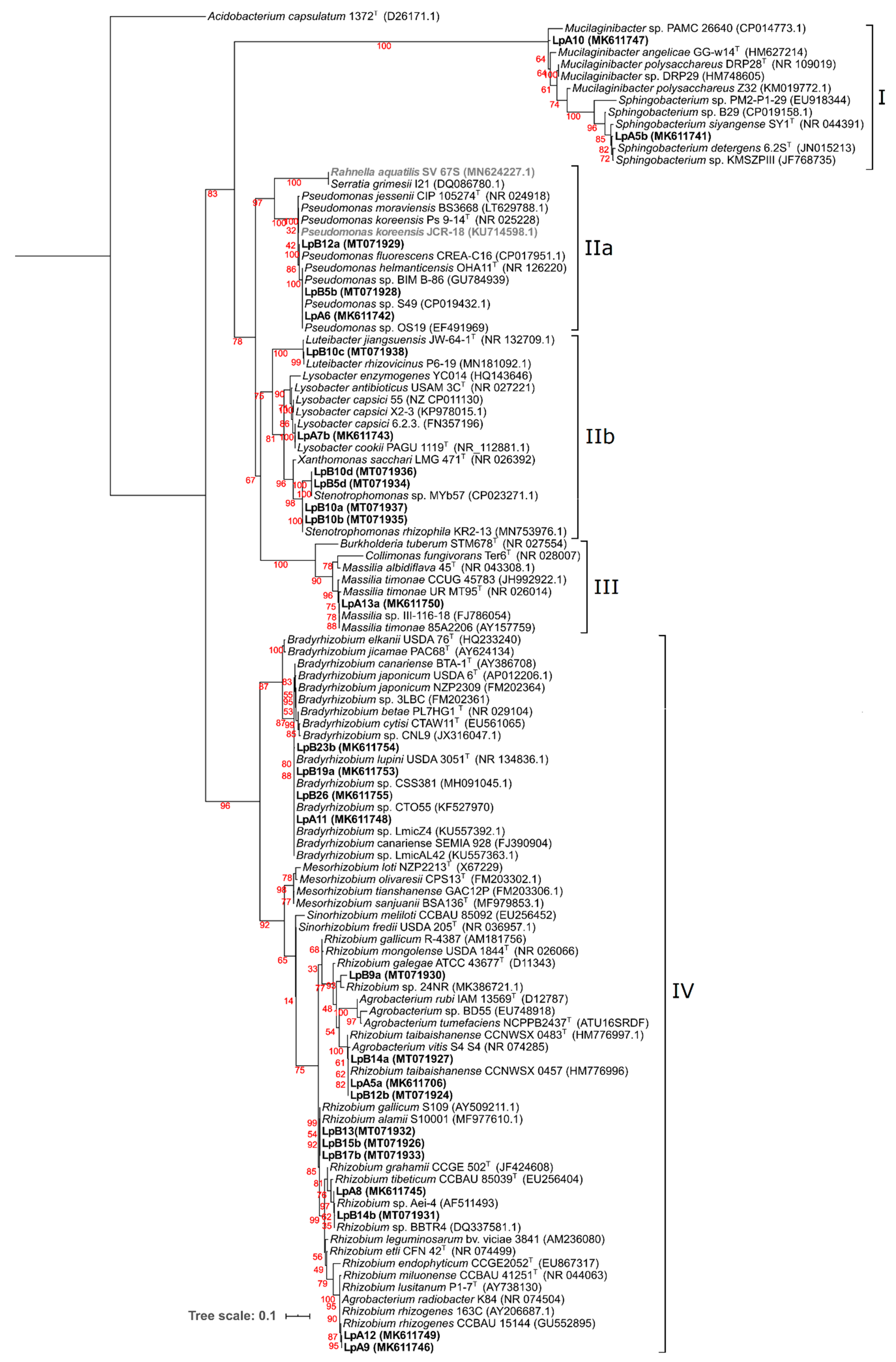 Microorganisms 08 00499 g002