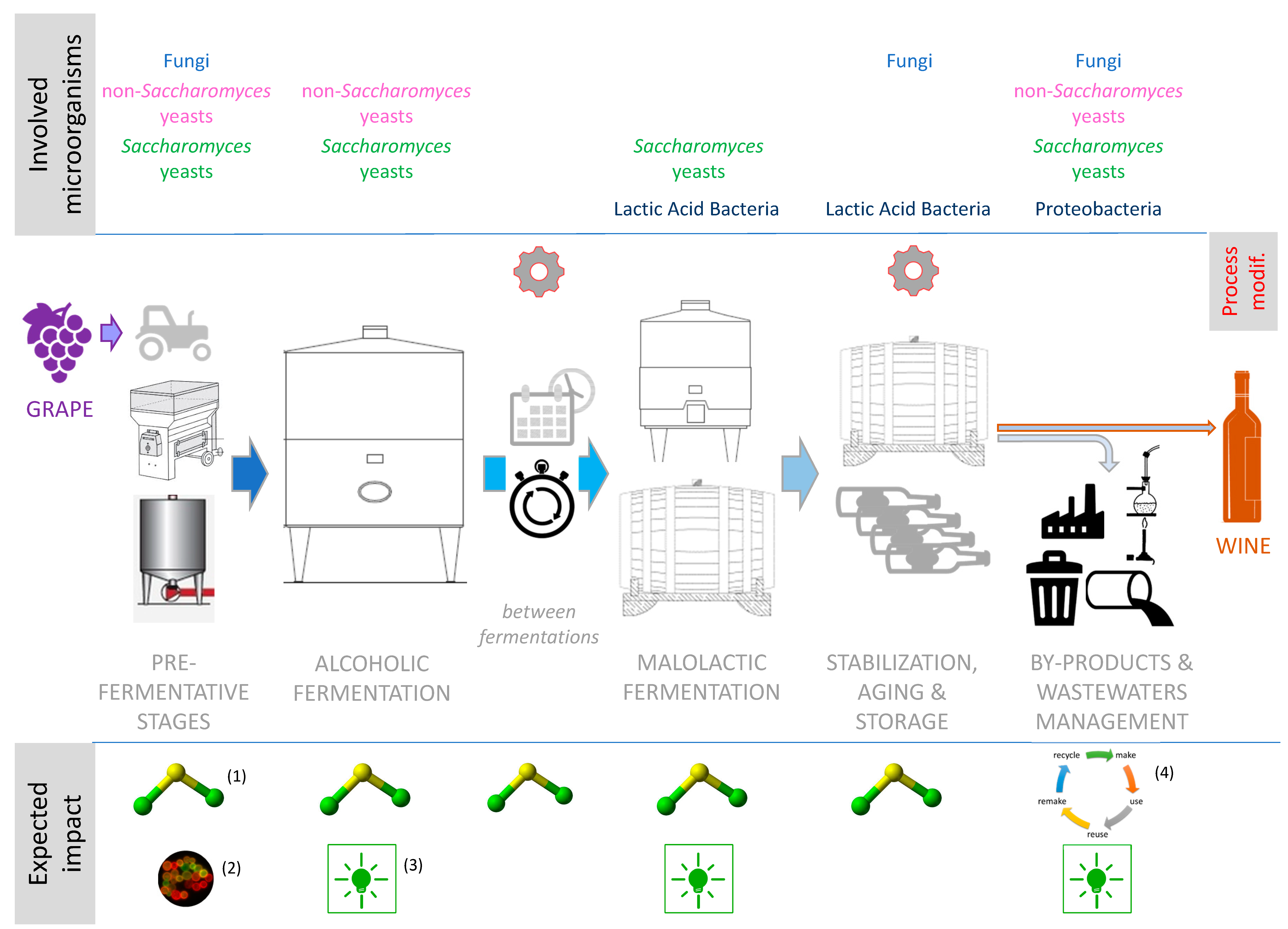 Microorganisms 08 00507 g001