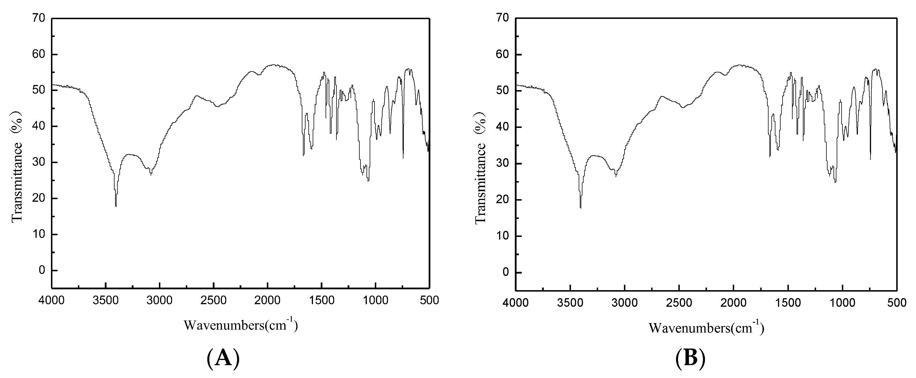 Microorganisms 08 00519 g006