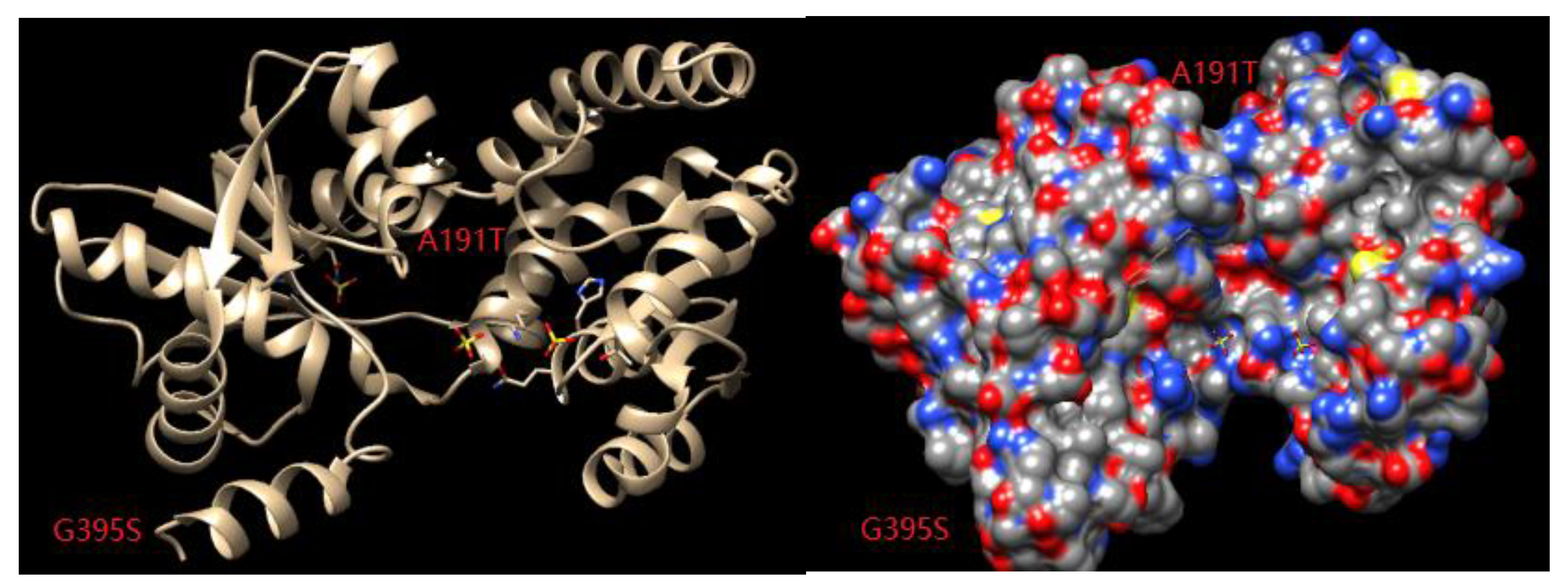Microorganisms 08 00519 g009