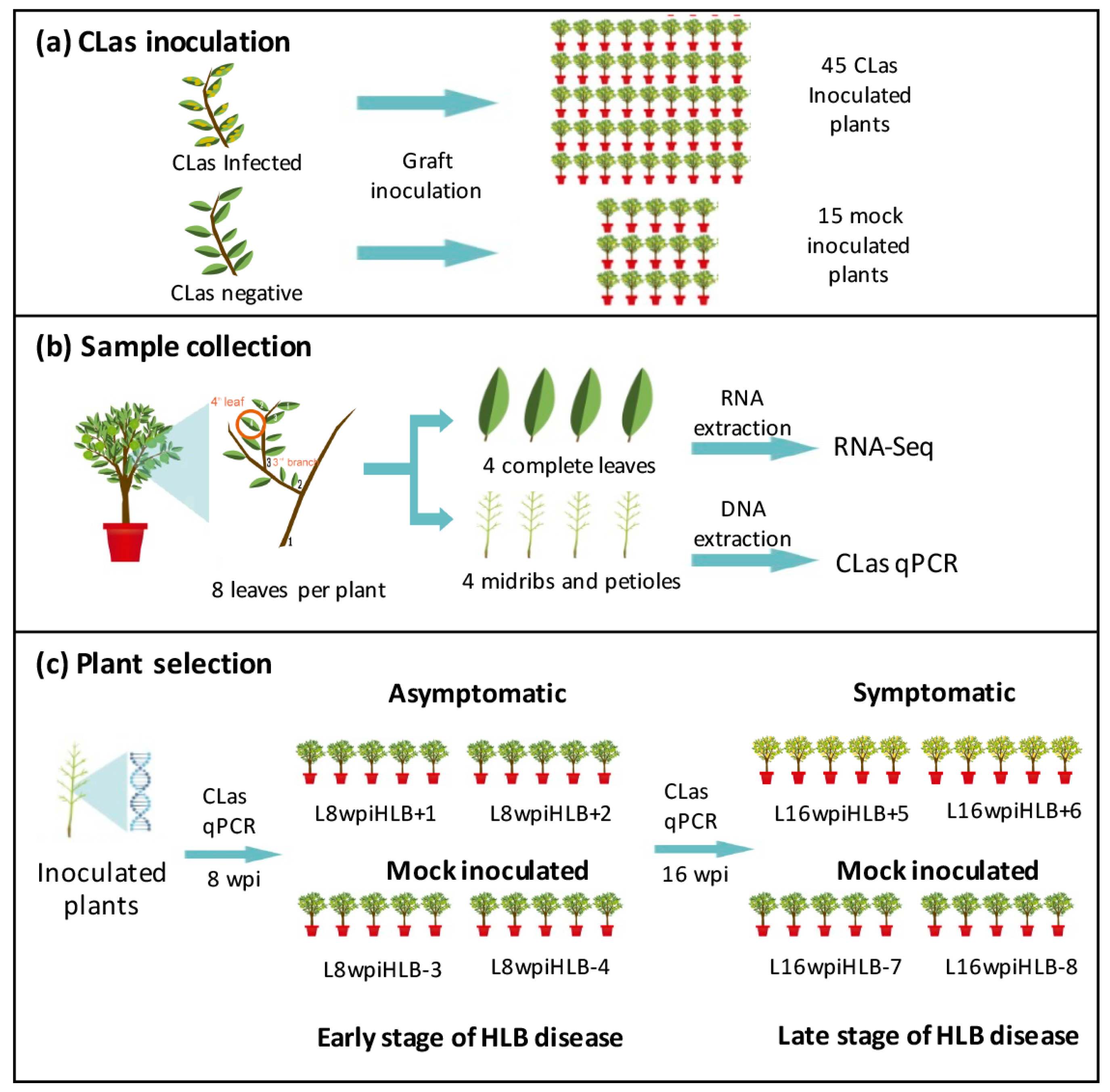 Microorganisms 08 00528 g001 Microorganisms 08 00528 g001