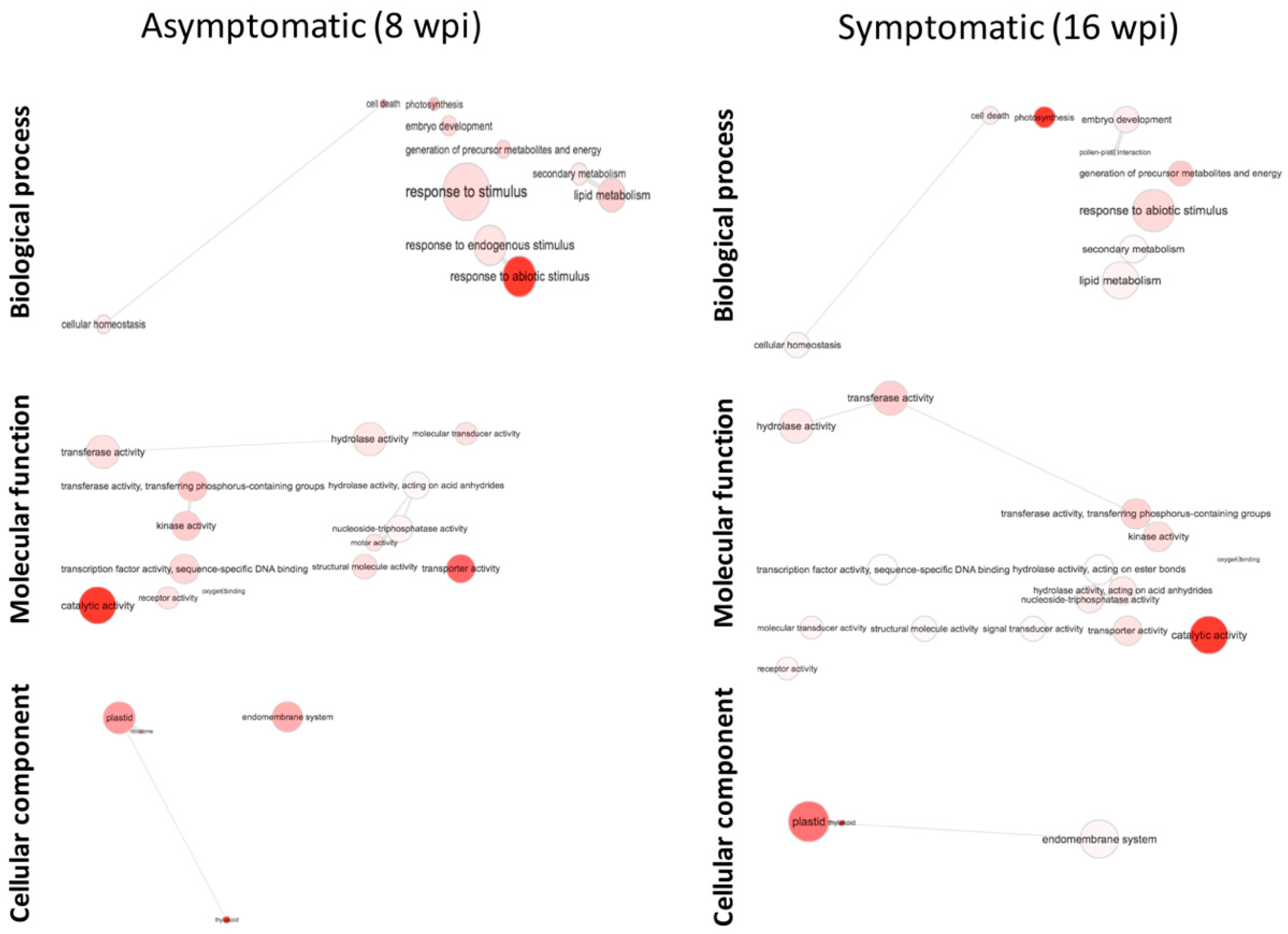 Microorganisms 08 00528 g007 Microorganisms 08 00528 g007