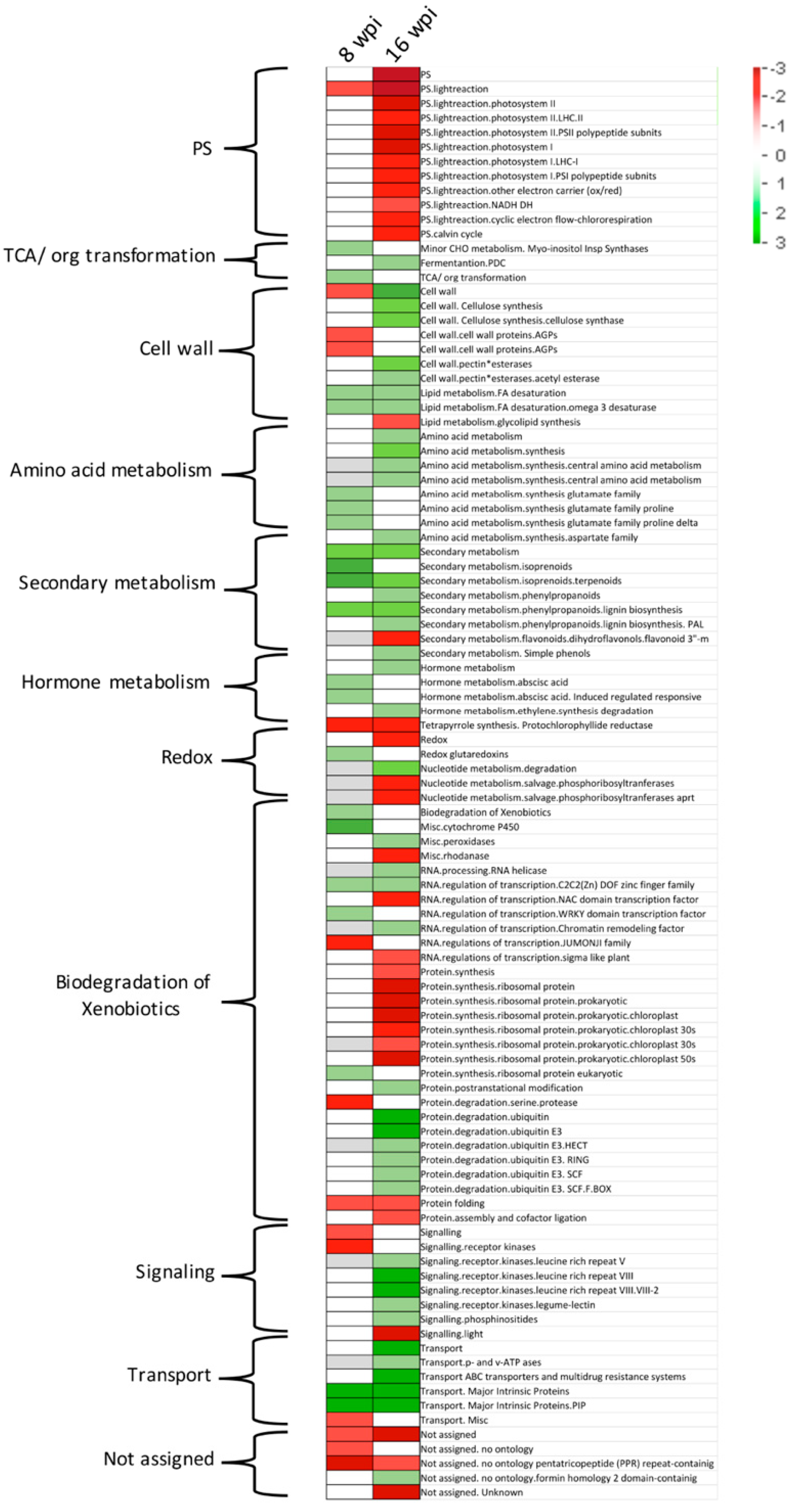 Microorganisms 08 00528 g008 Microorganisms 08 00528 g008