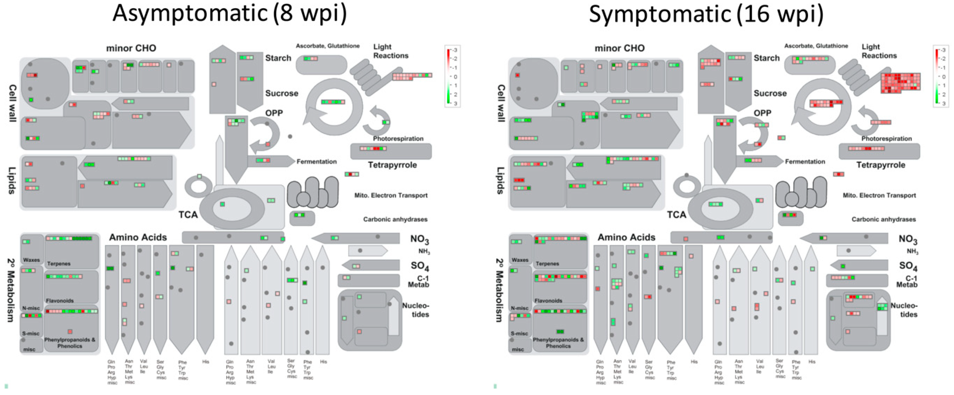 Microorganisms 08 00528 g009 Microorganisms 08 00528 g009