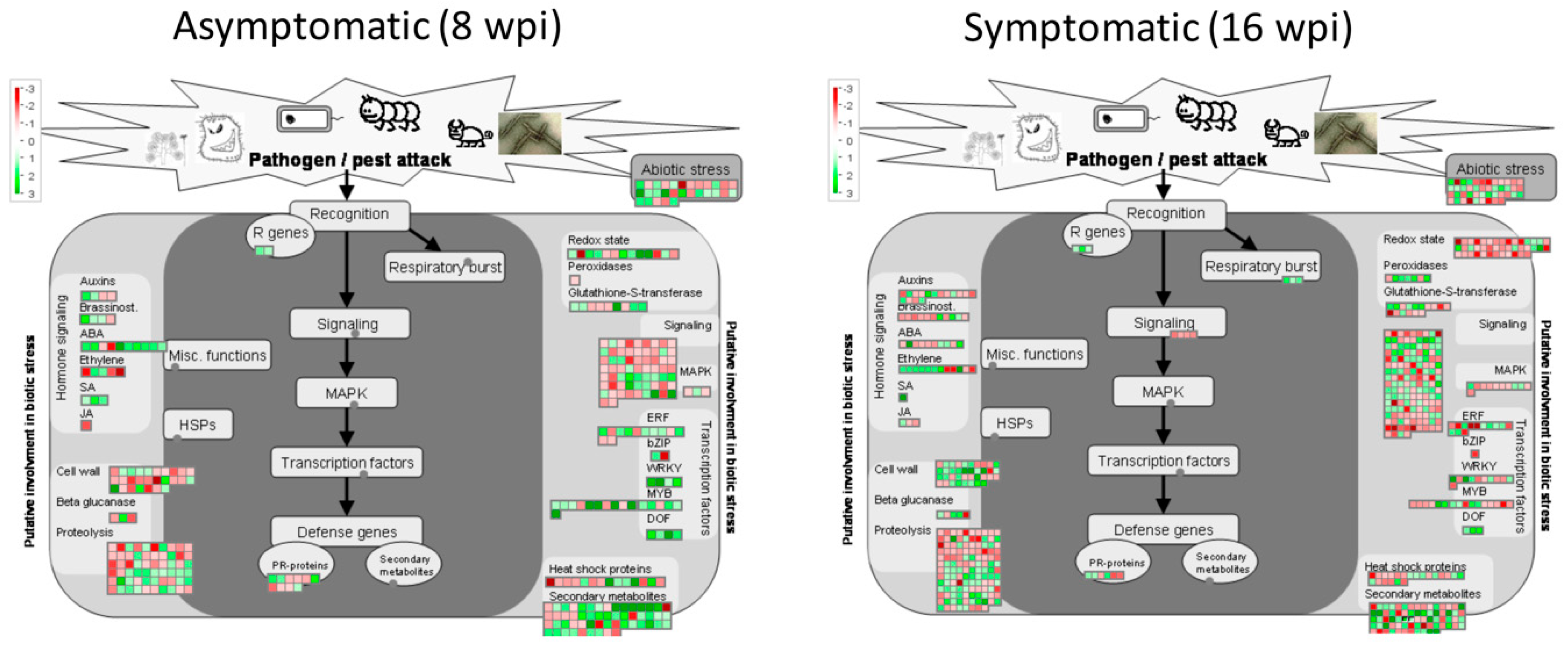 Microorganisms 08 00528 g010 Microorganisms 08 00528 g010