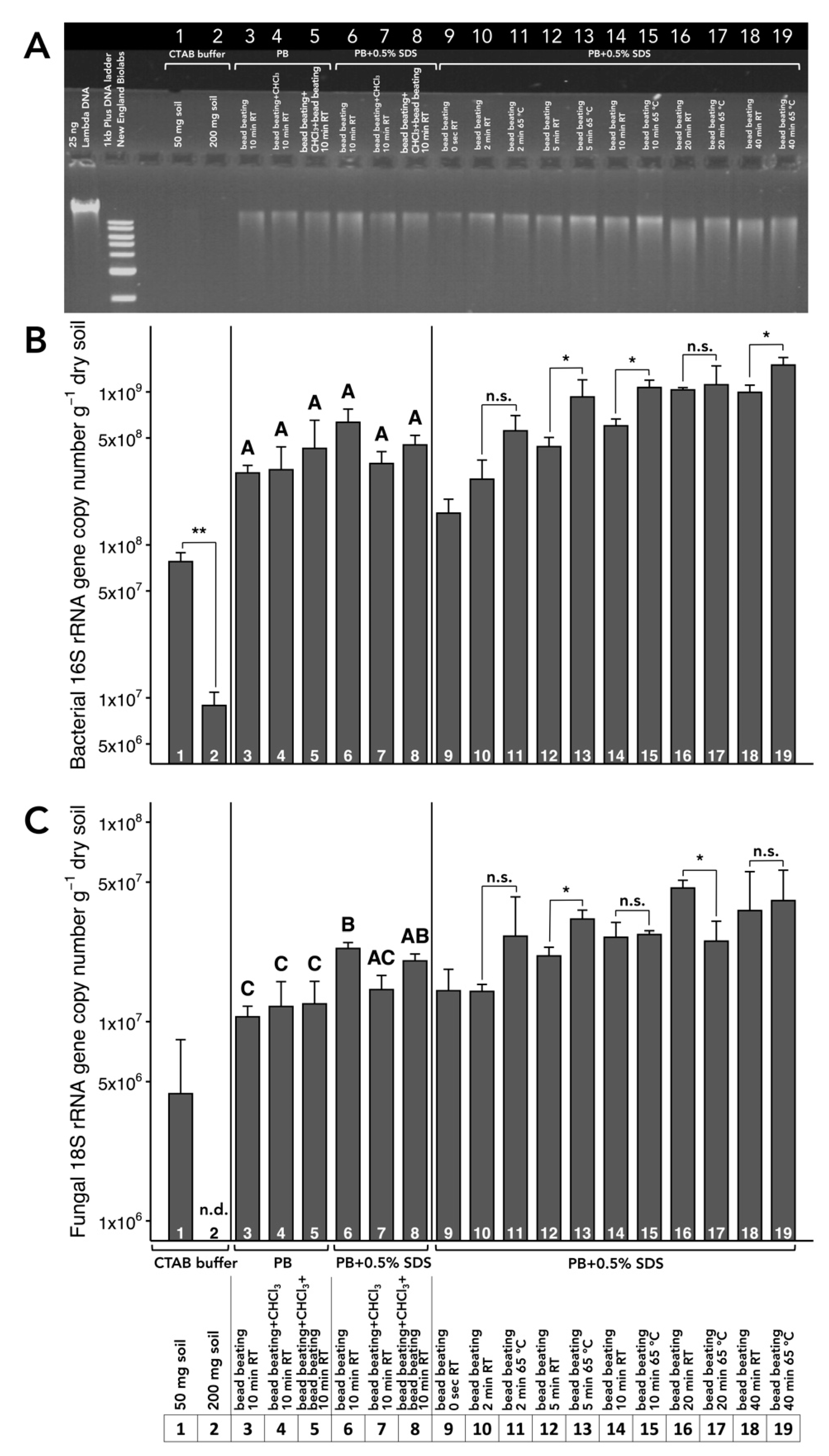 Microorganisms 08 00532 g003 Microorganisms 08 00532 g003