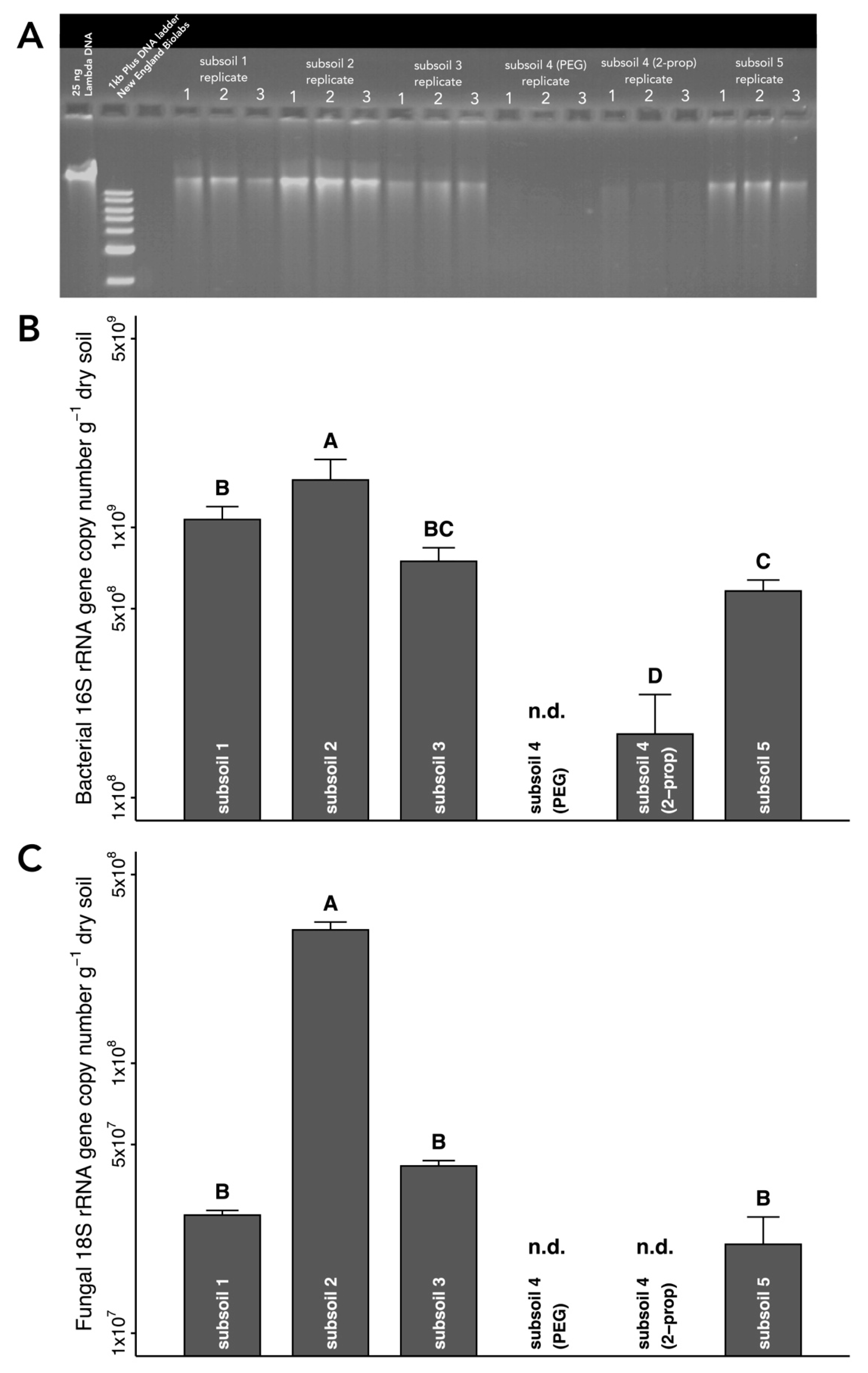 Microorganisms 08 00532 g005 Microorganisms 08 00532 g005