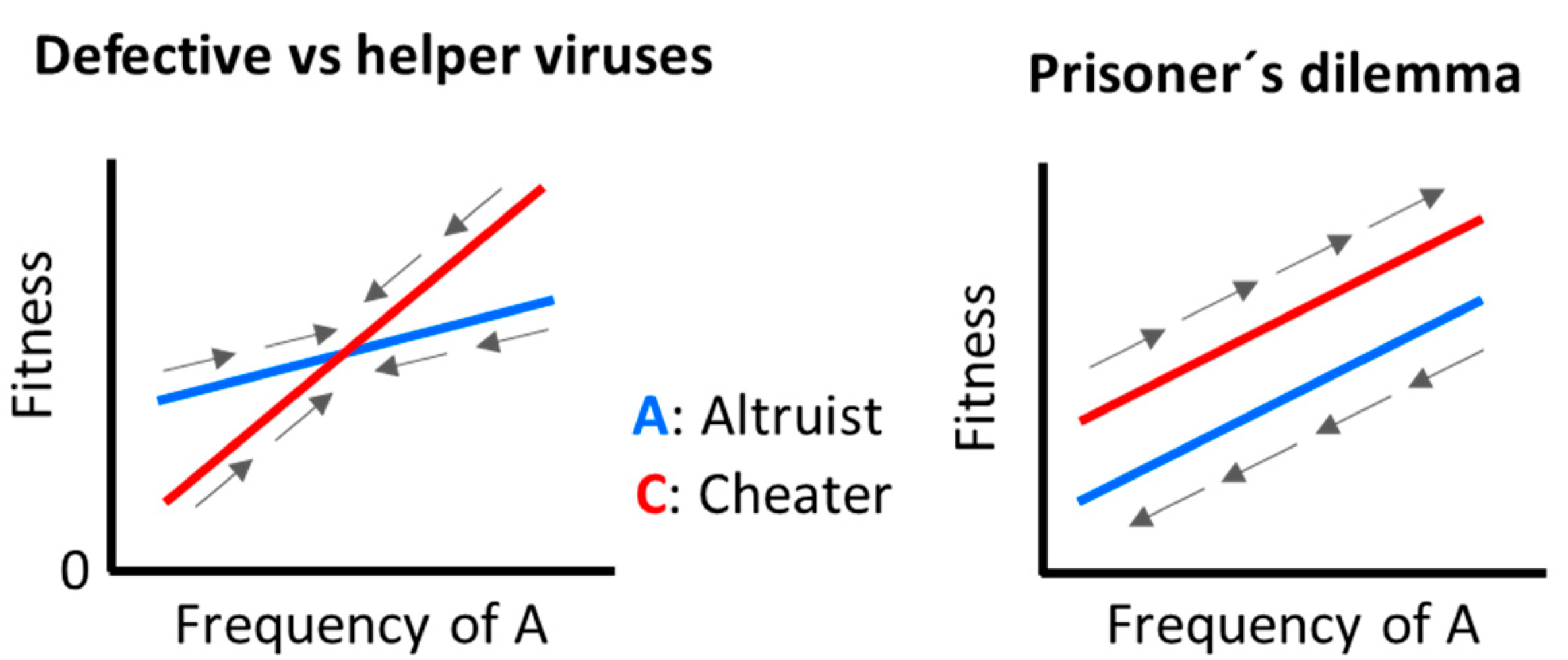 Microorganisms 08 00533 g001