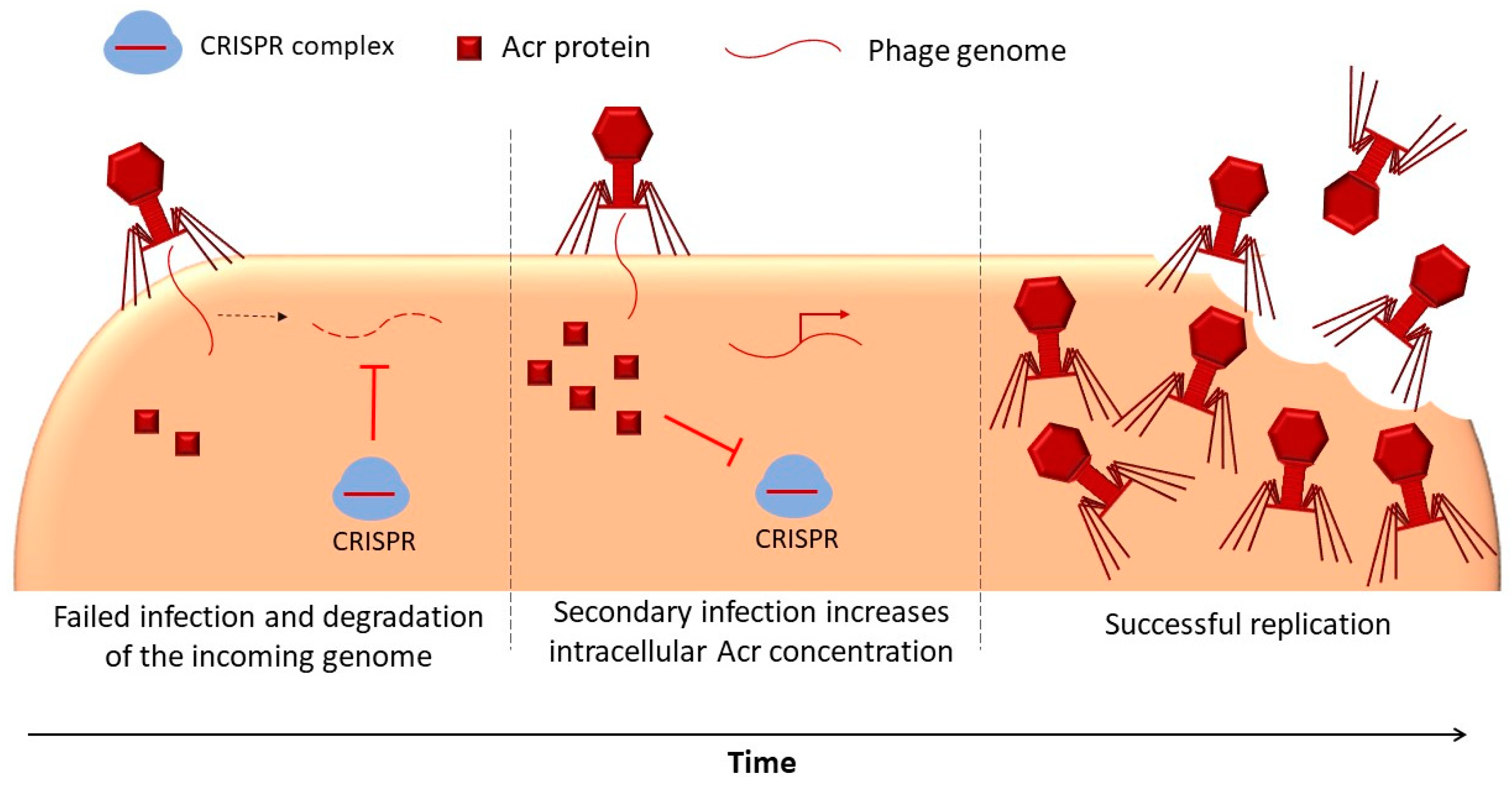 Microorganisms 08 00533 g002