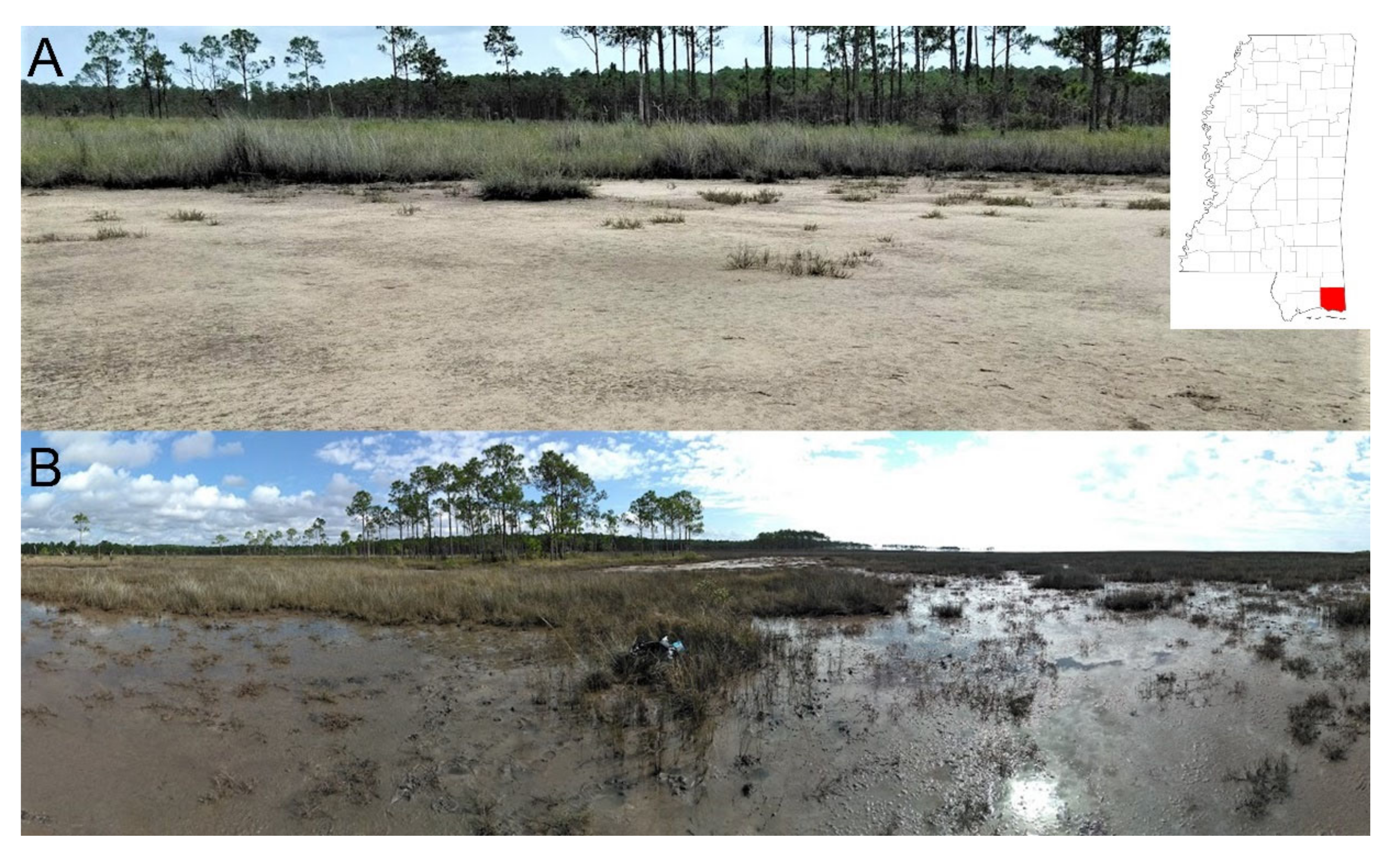 Microorganisms 08 00538 g001 Microorganisms 08 00538 g001