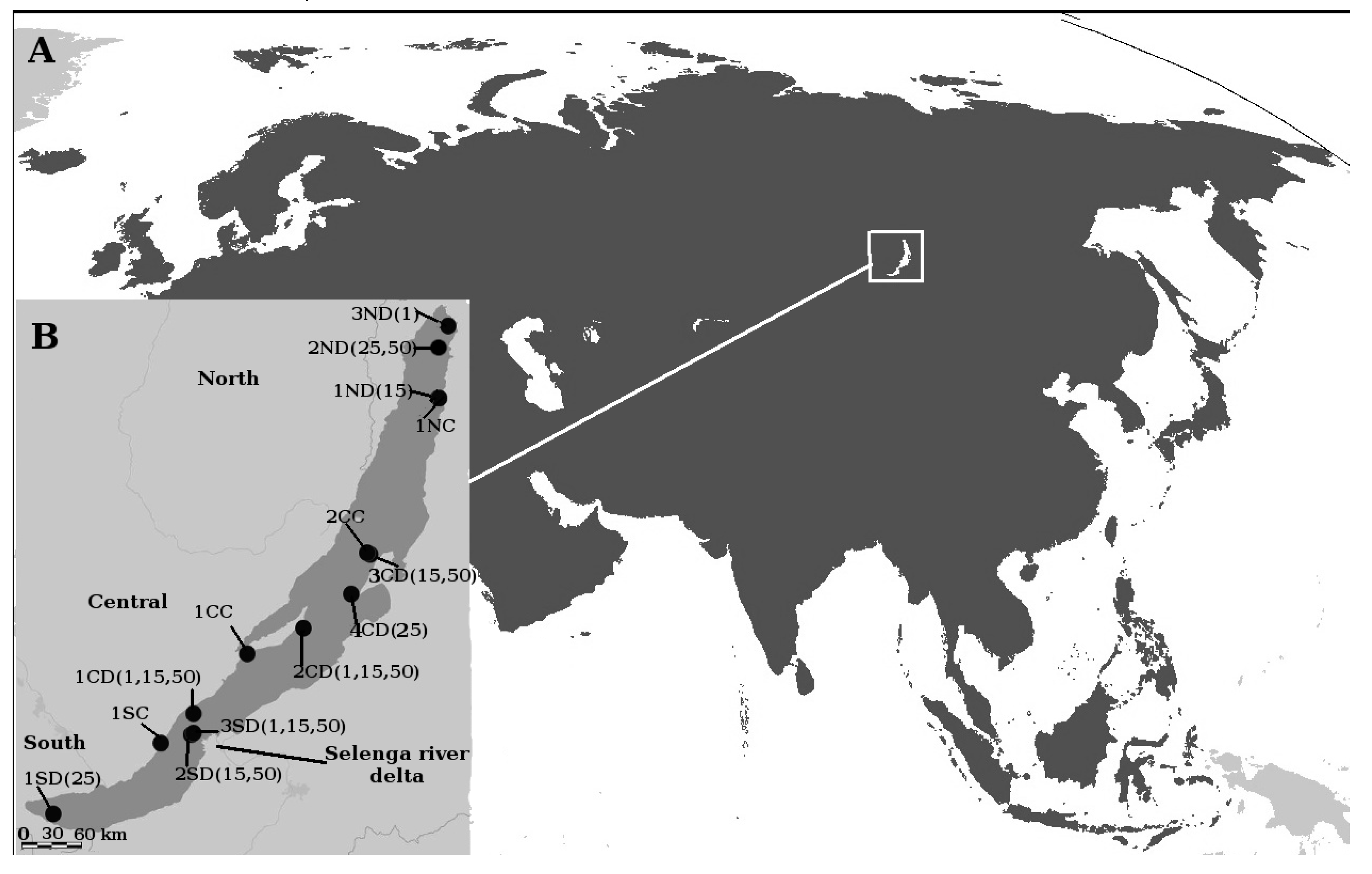 Microorganisms 08 00543 g001
