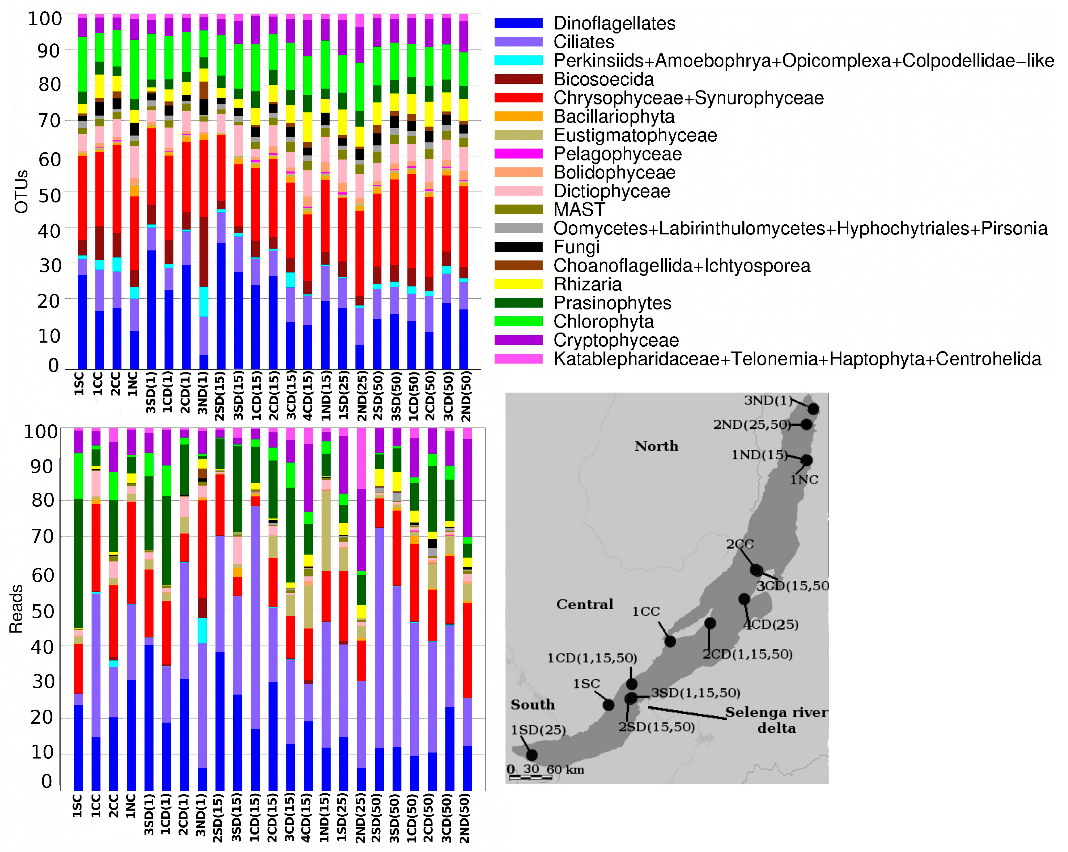 Microorganisms 08 00543 g003