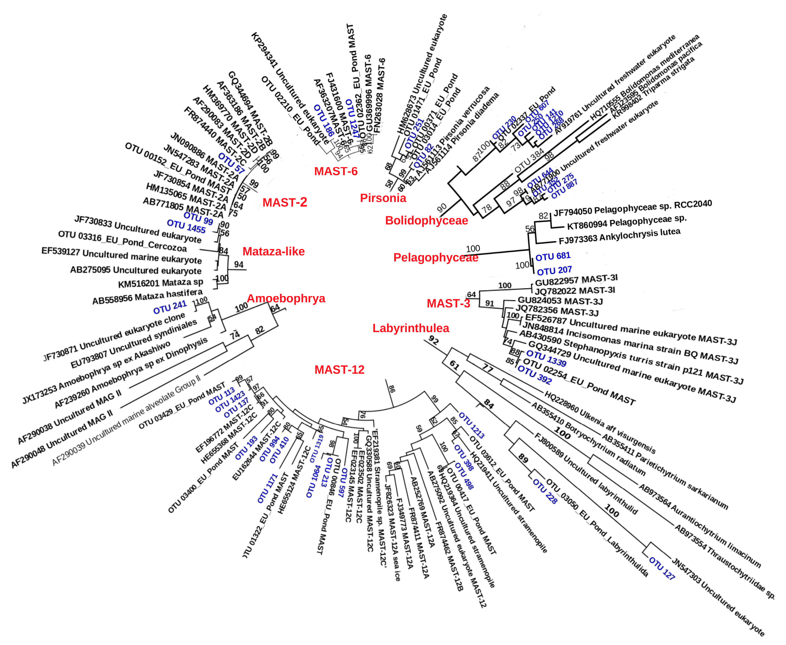 Microorganisms 08 00543 g004