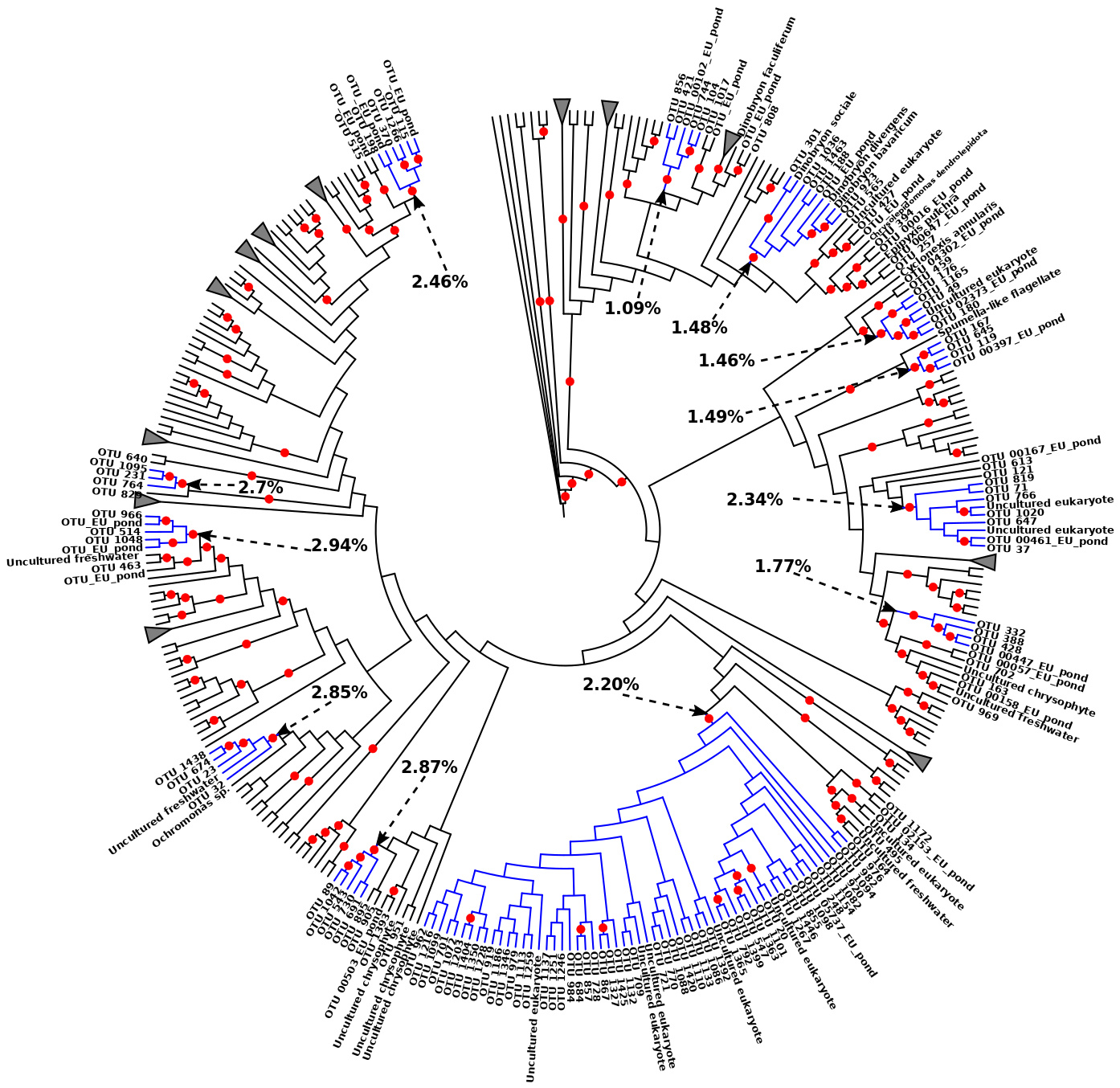 Microorganisms 08 00543 g005