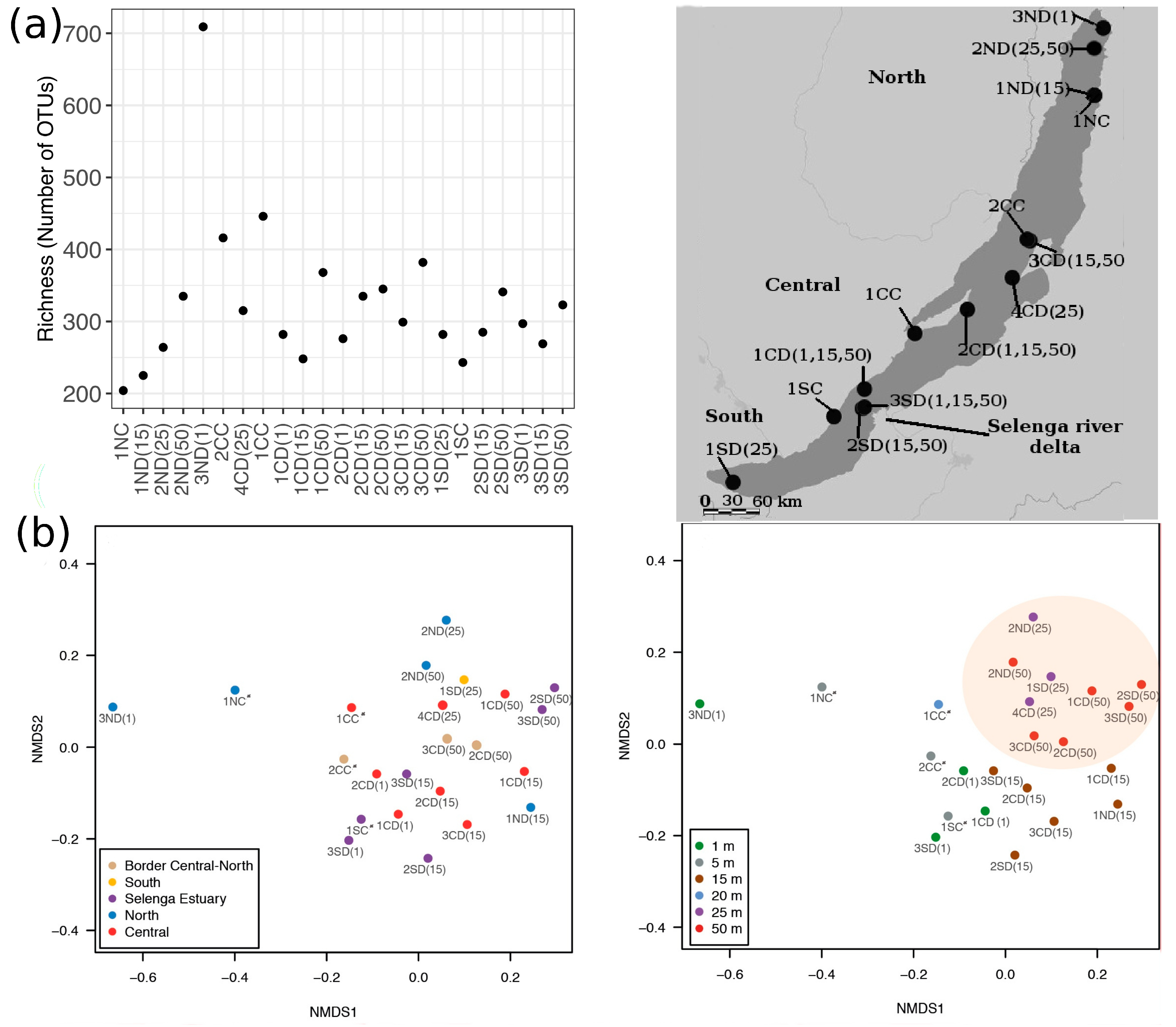 Microorganisms 08 00543 g007