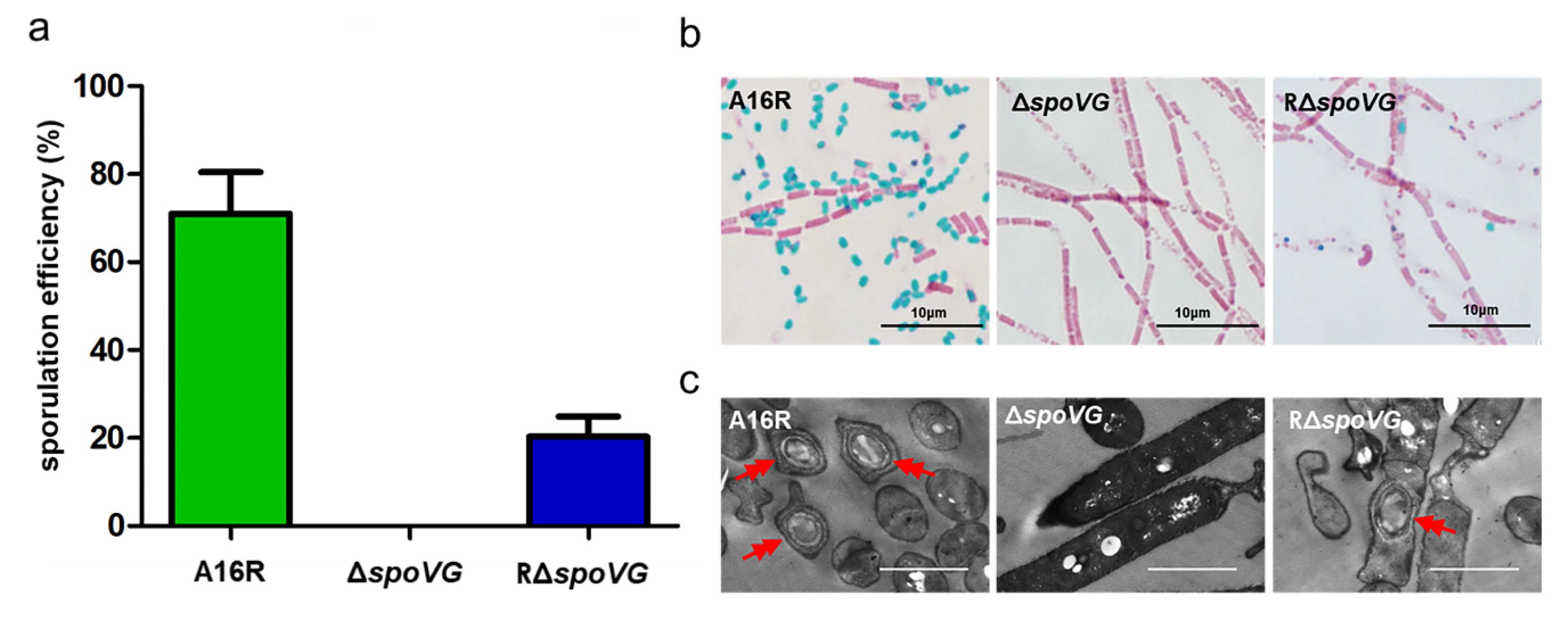 Microorganisms 08 00548 g002