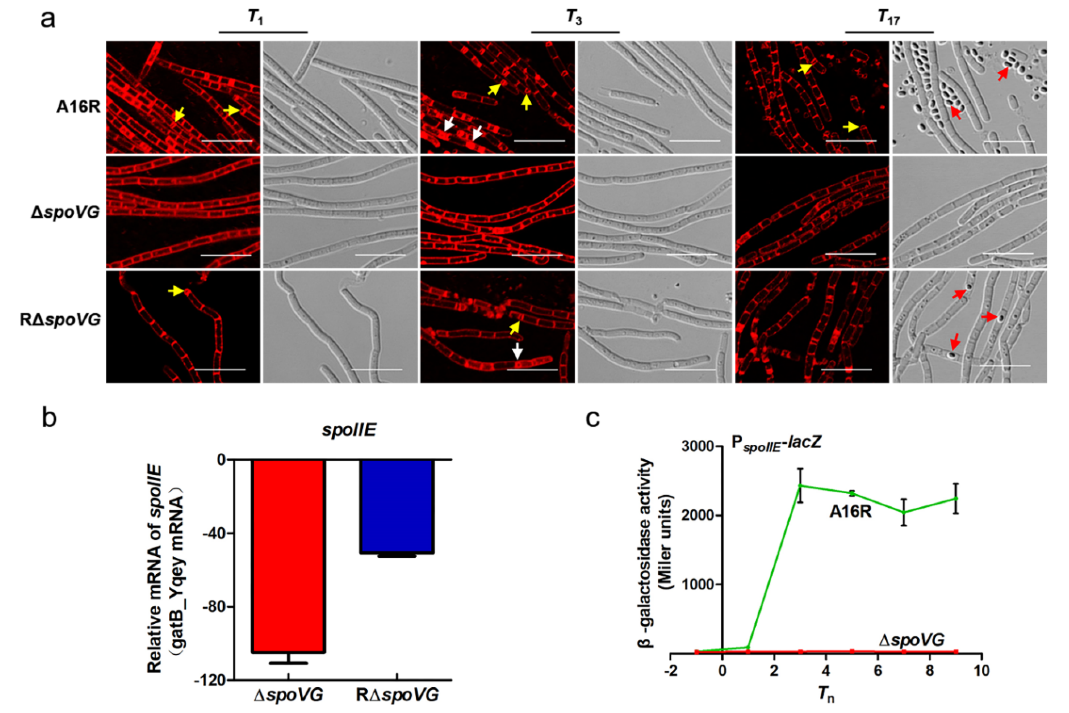 Microorganisms 08 00548 g003