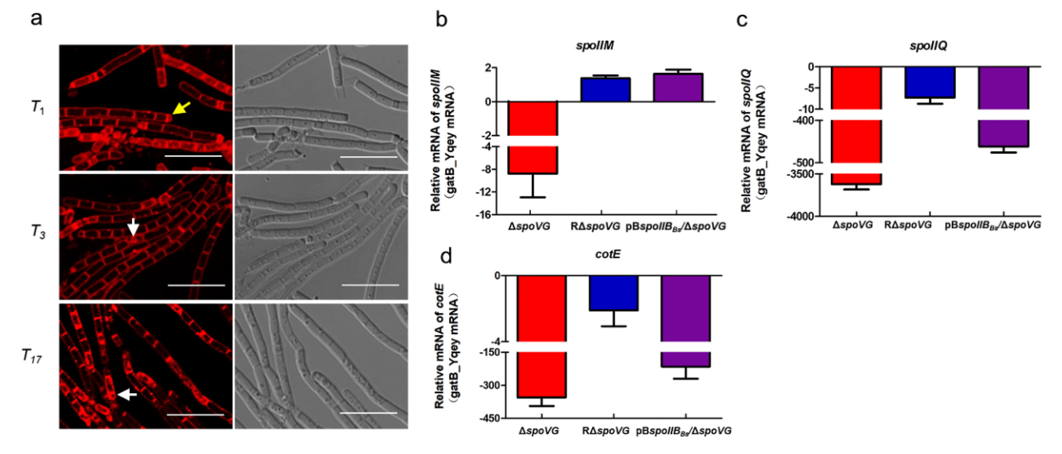Microorganisms 08 00548 g006