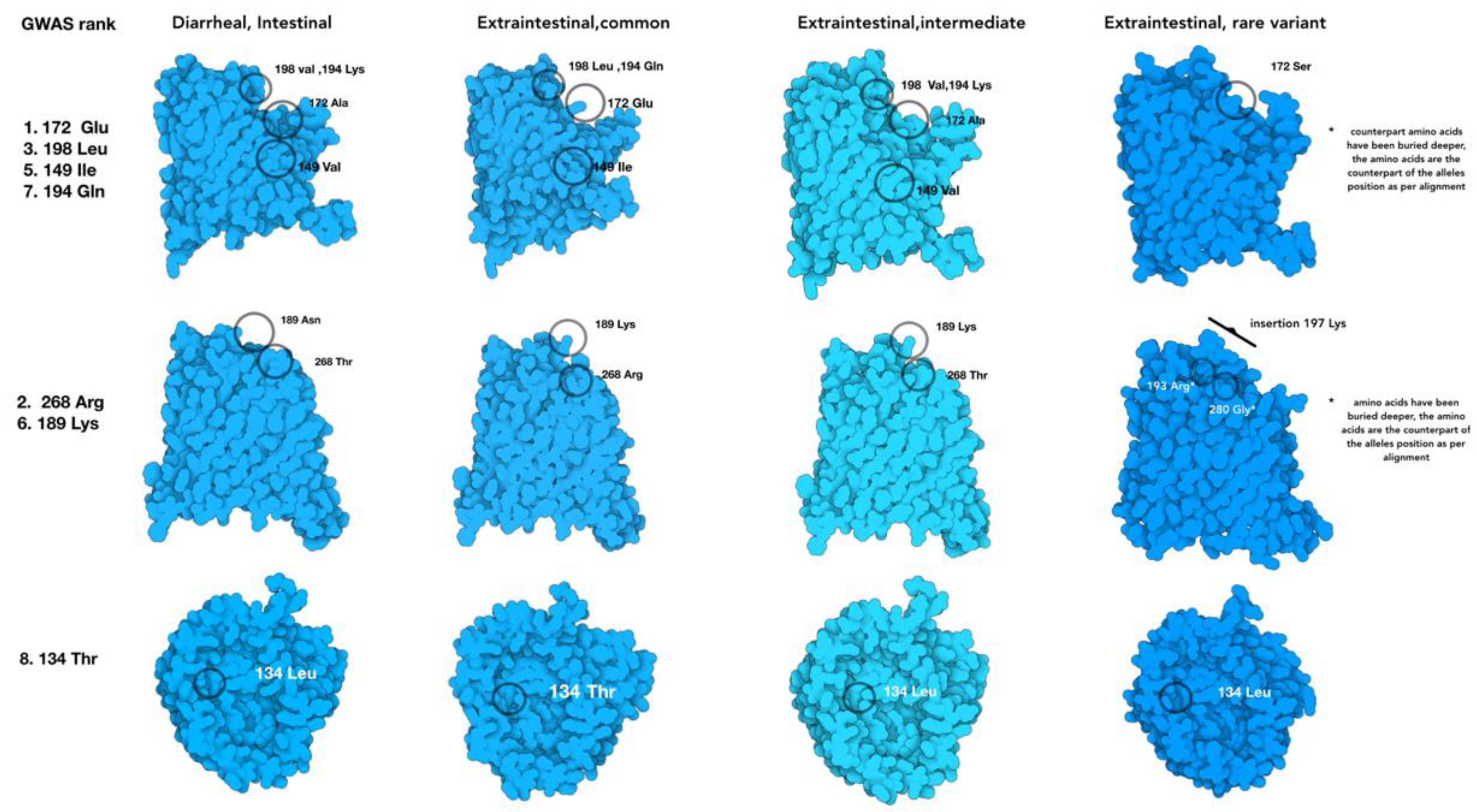 Microorganisms 08 00549 g005